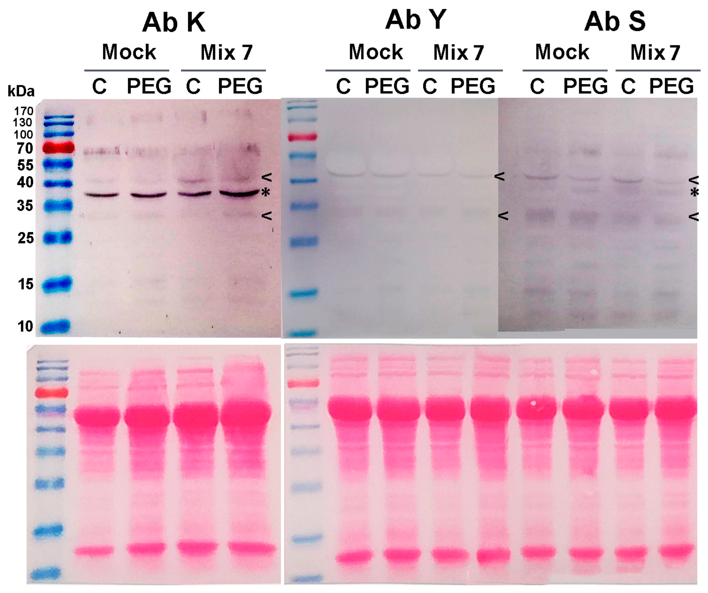 Horticulturae 10 00544 g005
