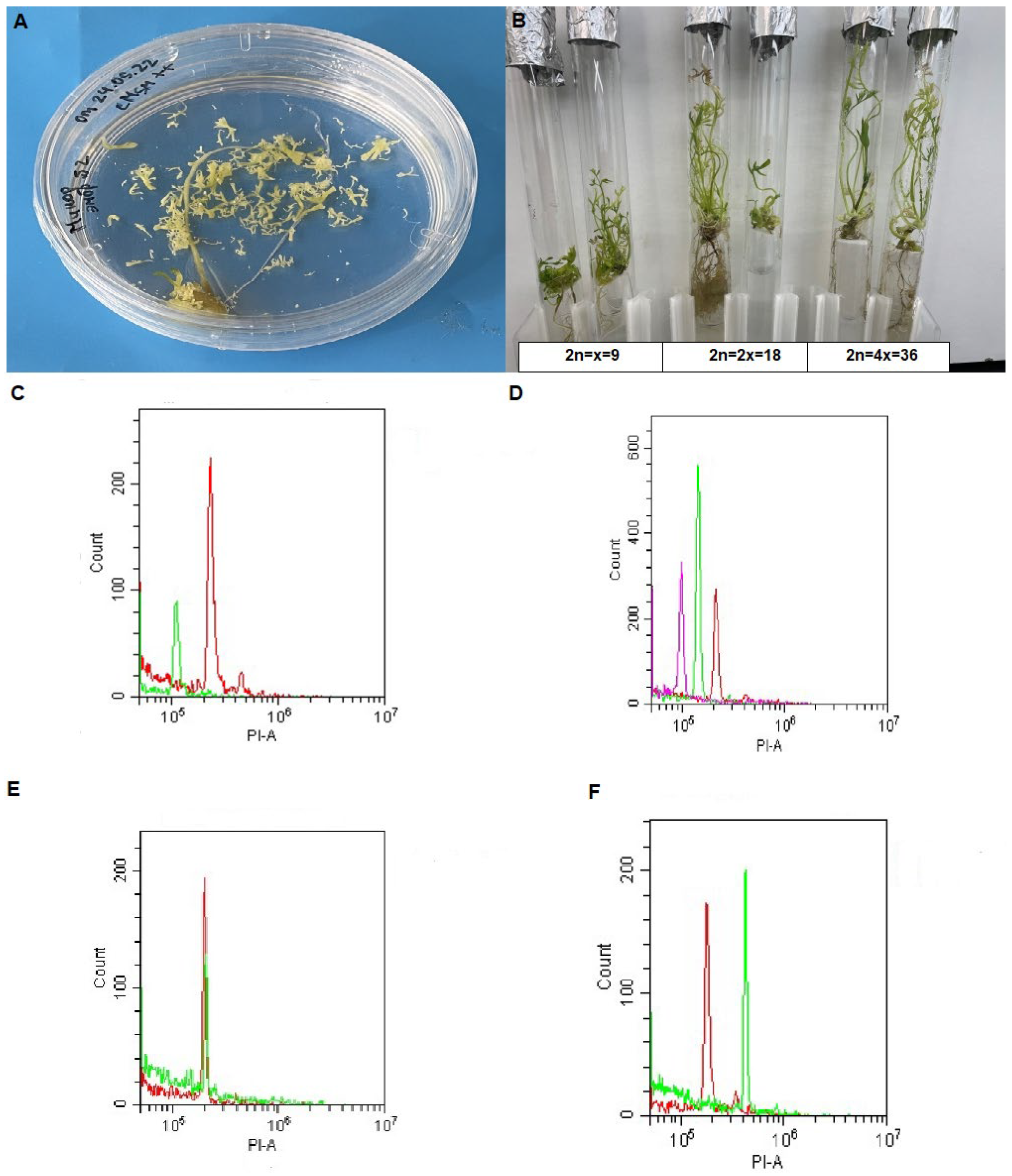 Horticulturae 10 00551 g002 Horticulturae 10 00551 g002