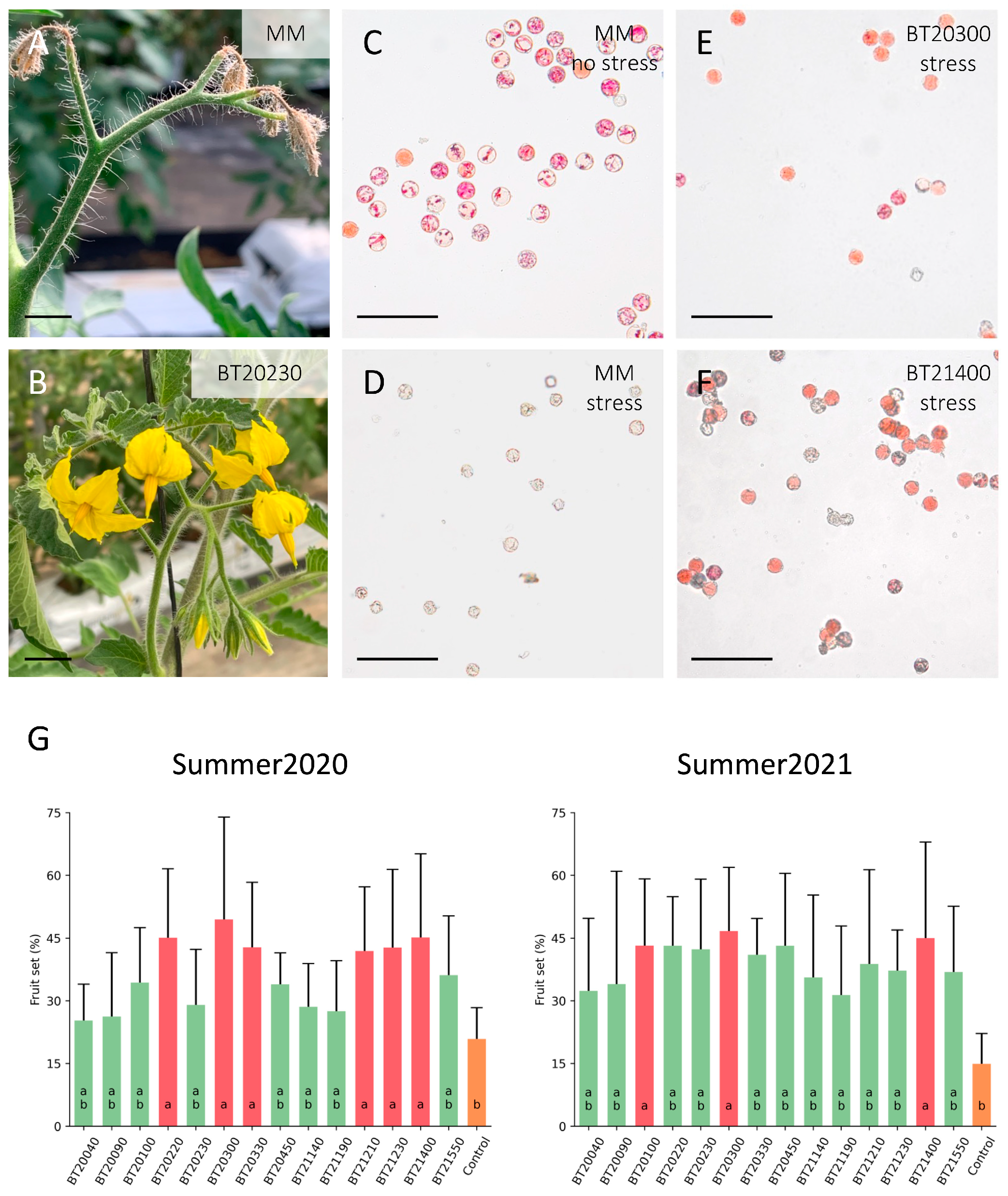 Horticulturae 10 00552 g004