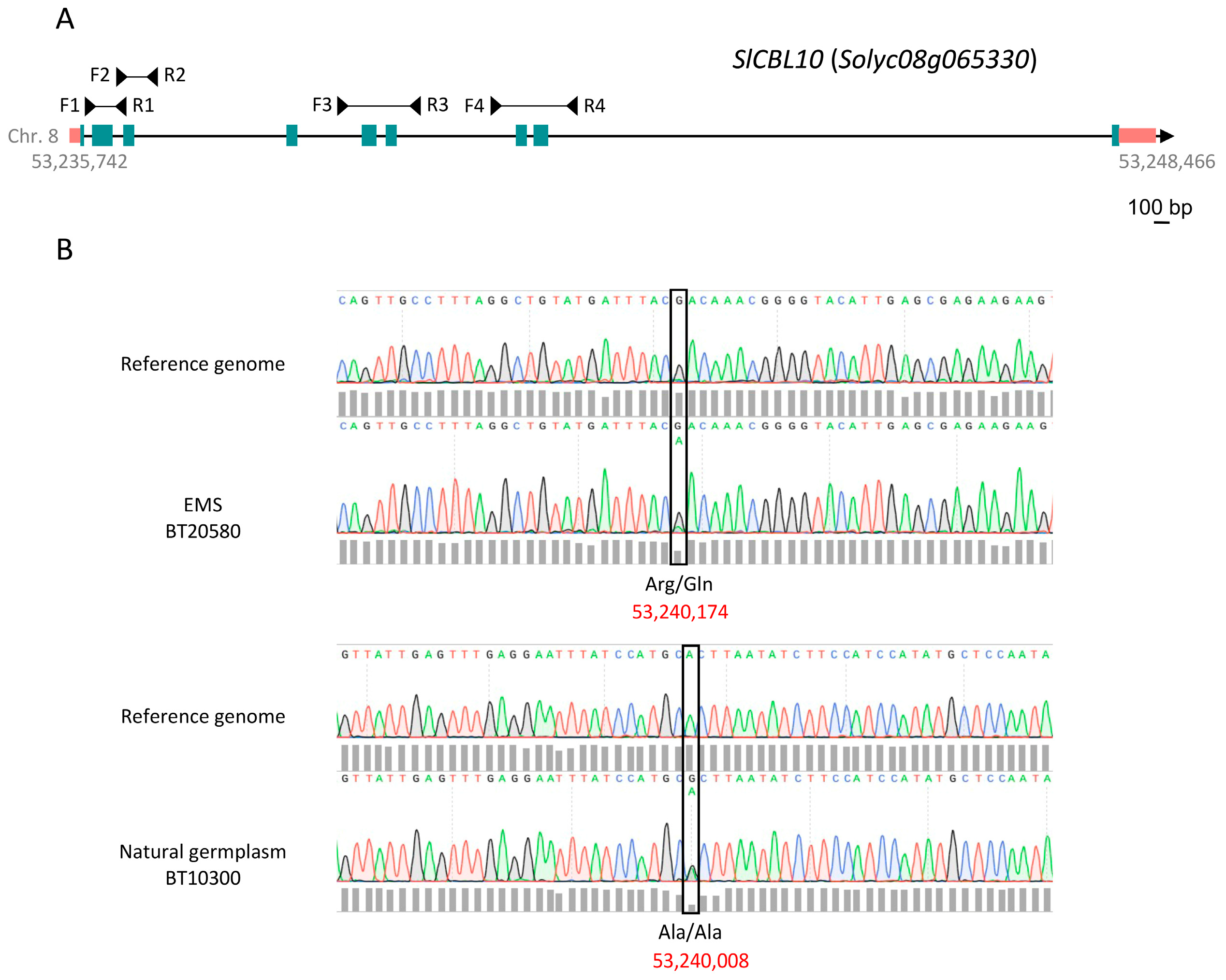 Horticulturae 10 00552 g005