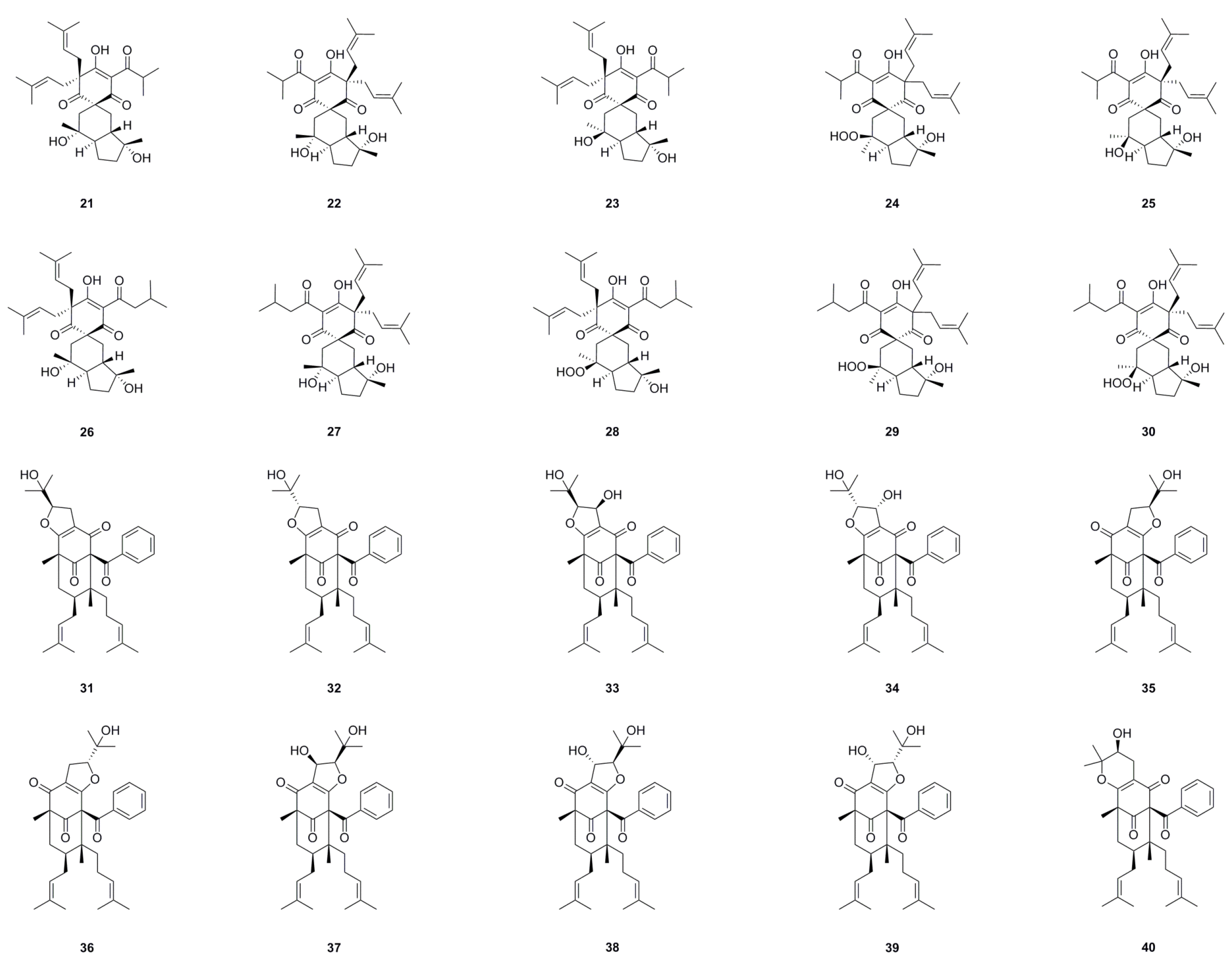 Horticulturae 10 00555 g003b