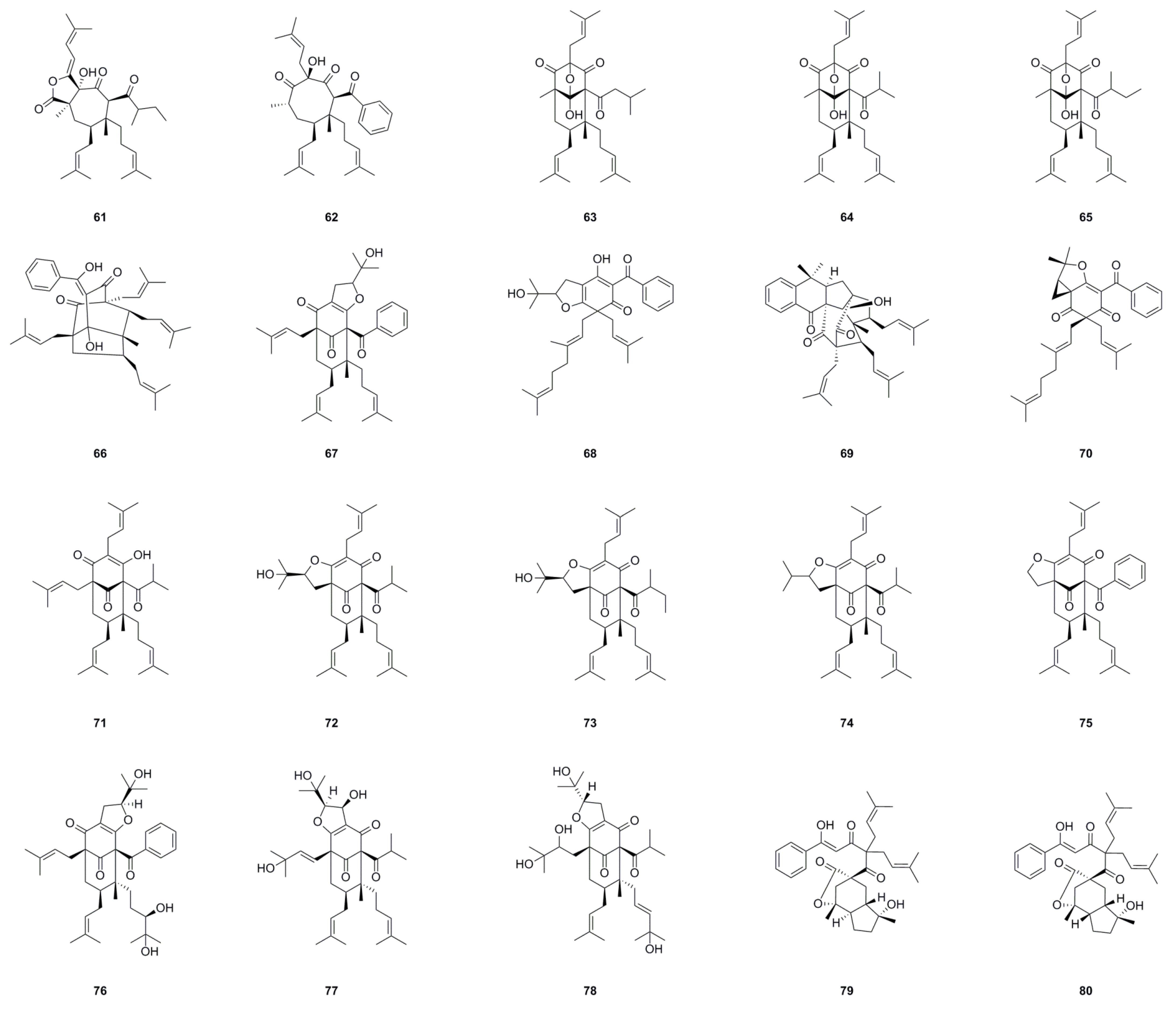 Horticulturae 10 00555 g003d