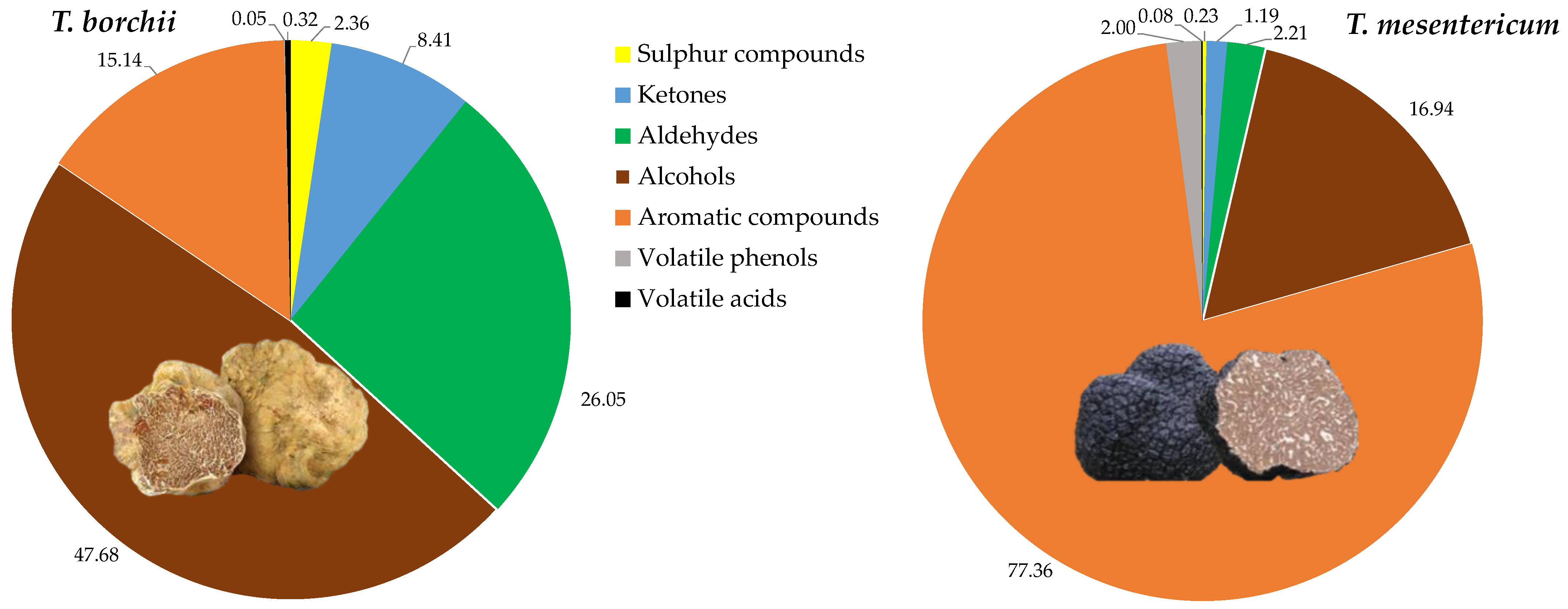 Horticulturae 10 00557 g002