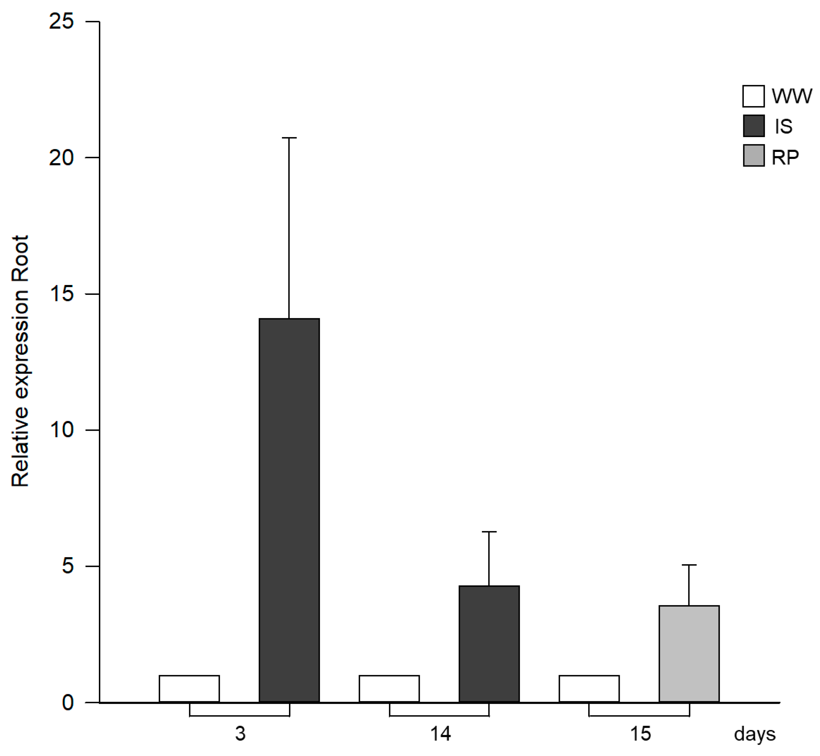 Horticulturae 10 00558 g004
