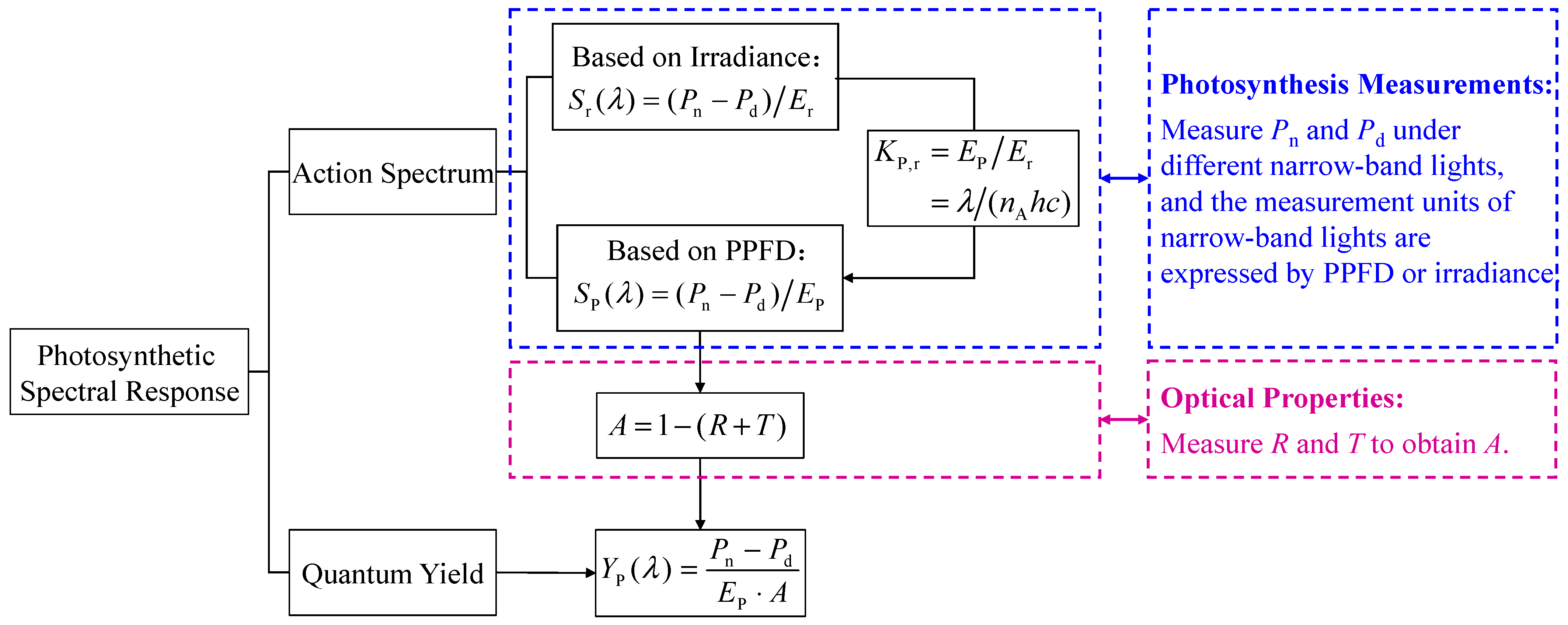 Horticulturae 10 00559 g001