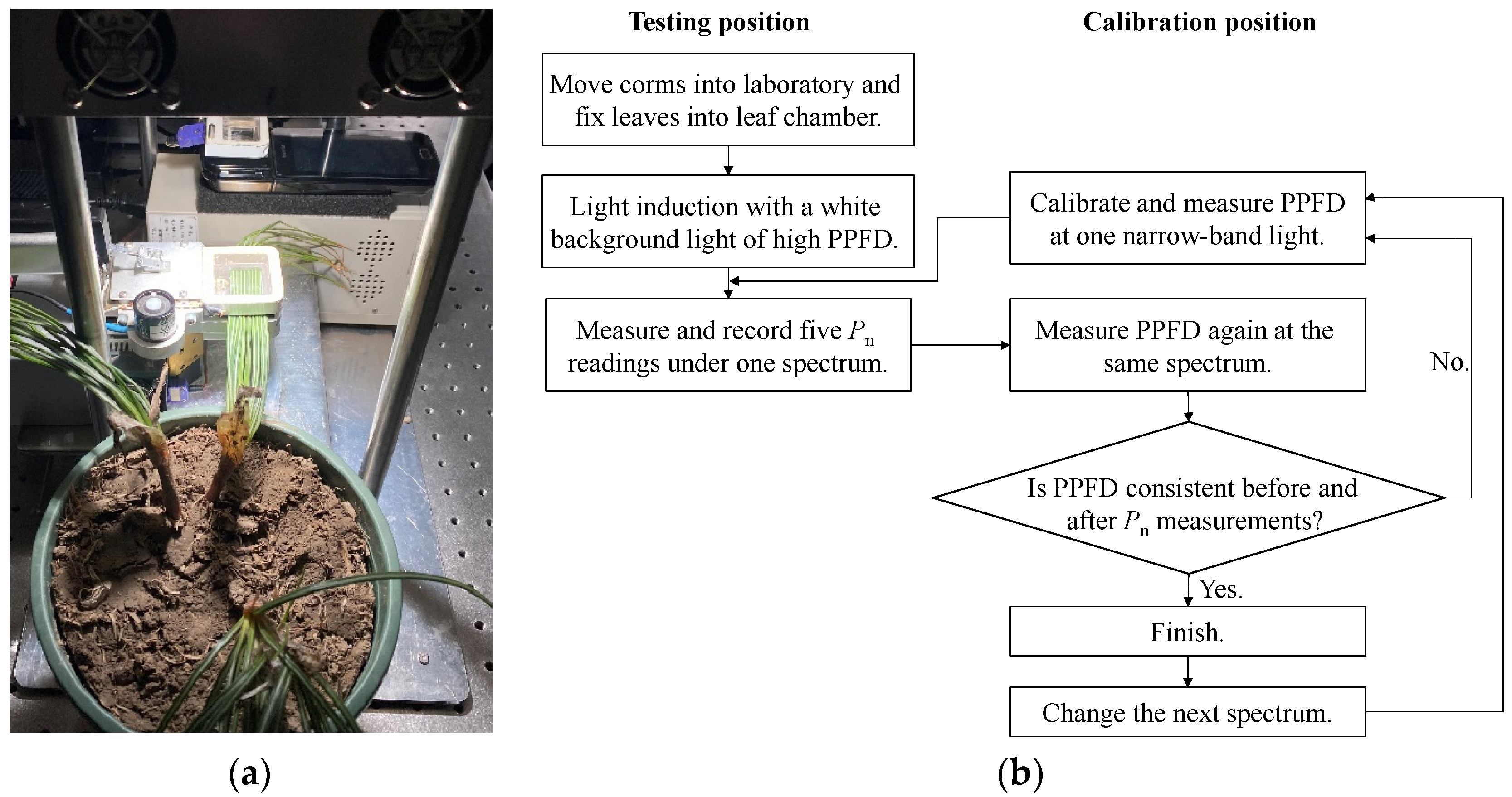 Horticulturae 10 00559 g003