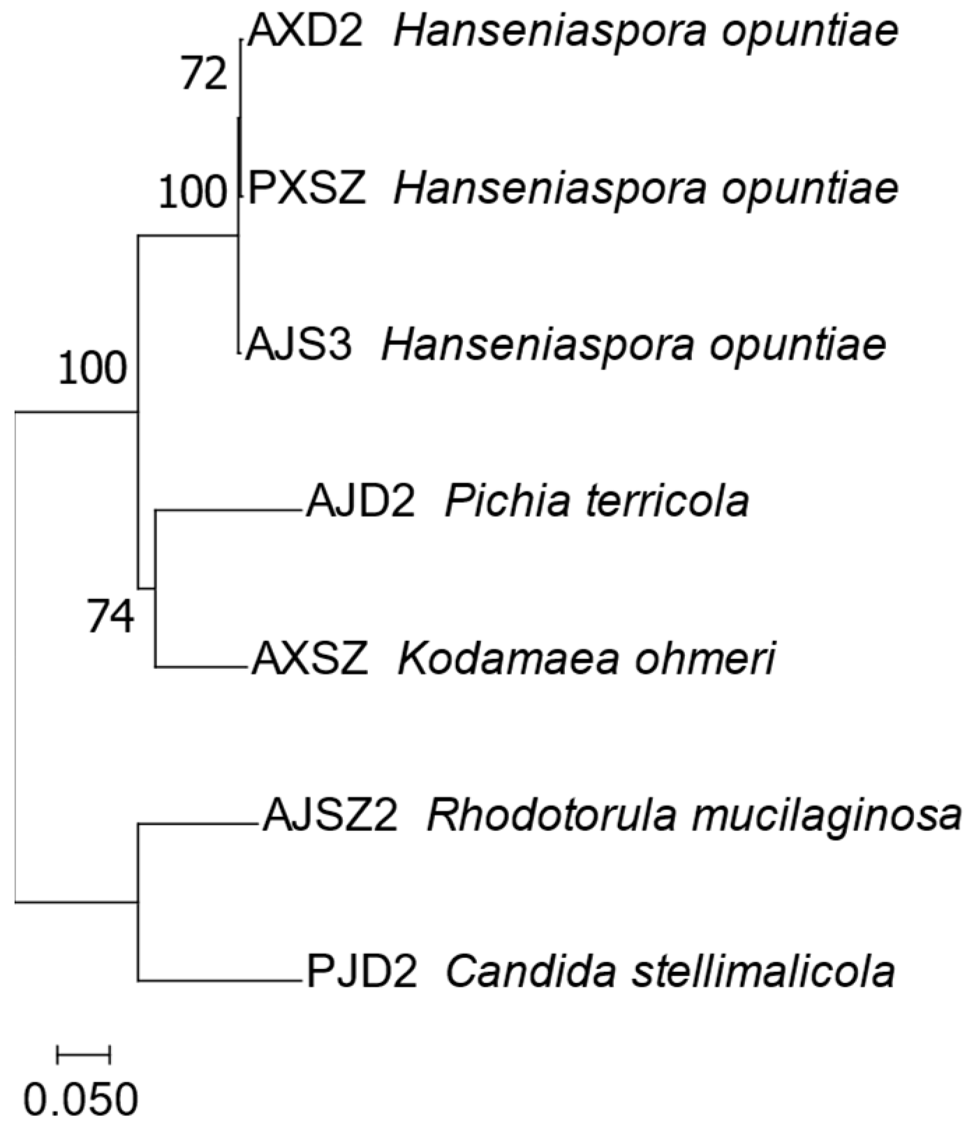 Horticulturae 10 00560 g006