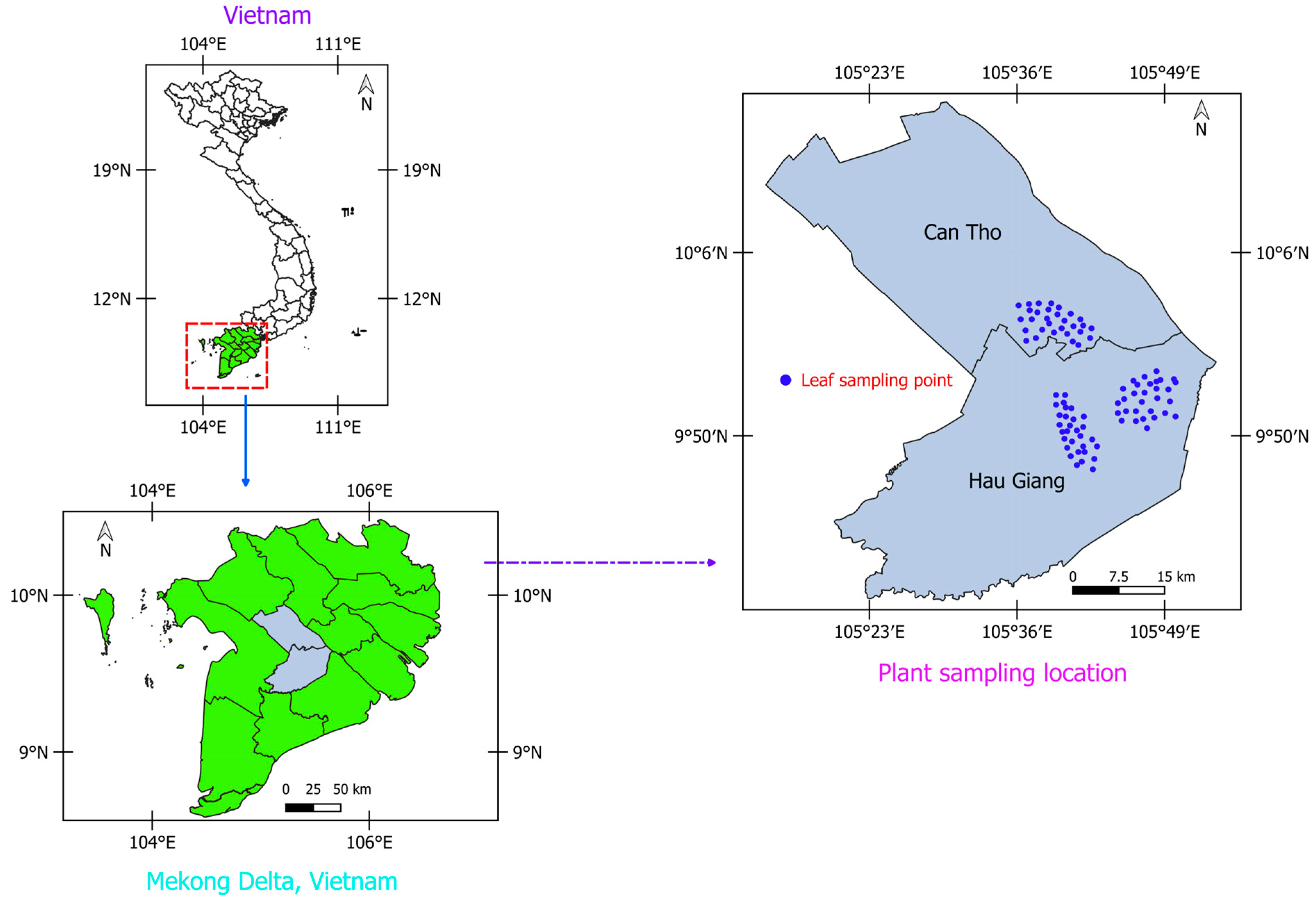 Horticulturae 10 00561 g001