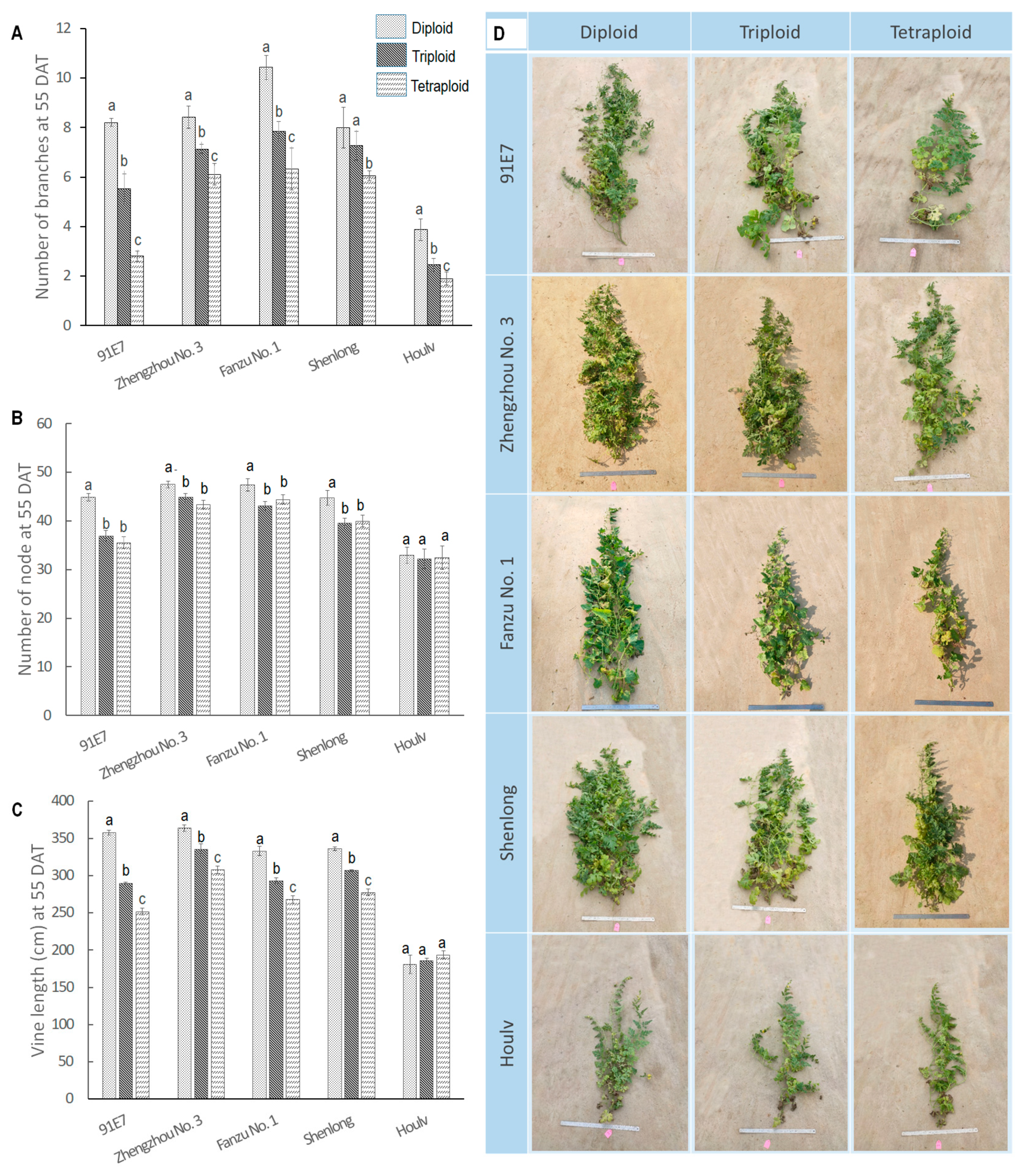 Horticulturae 10 00569 g001