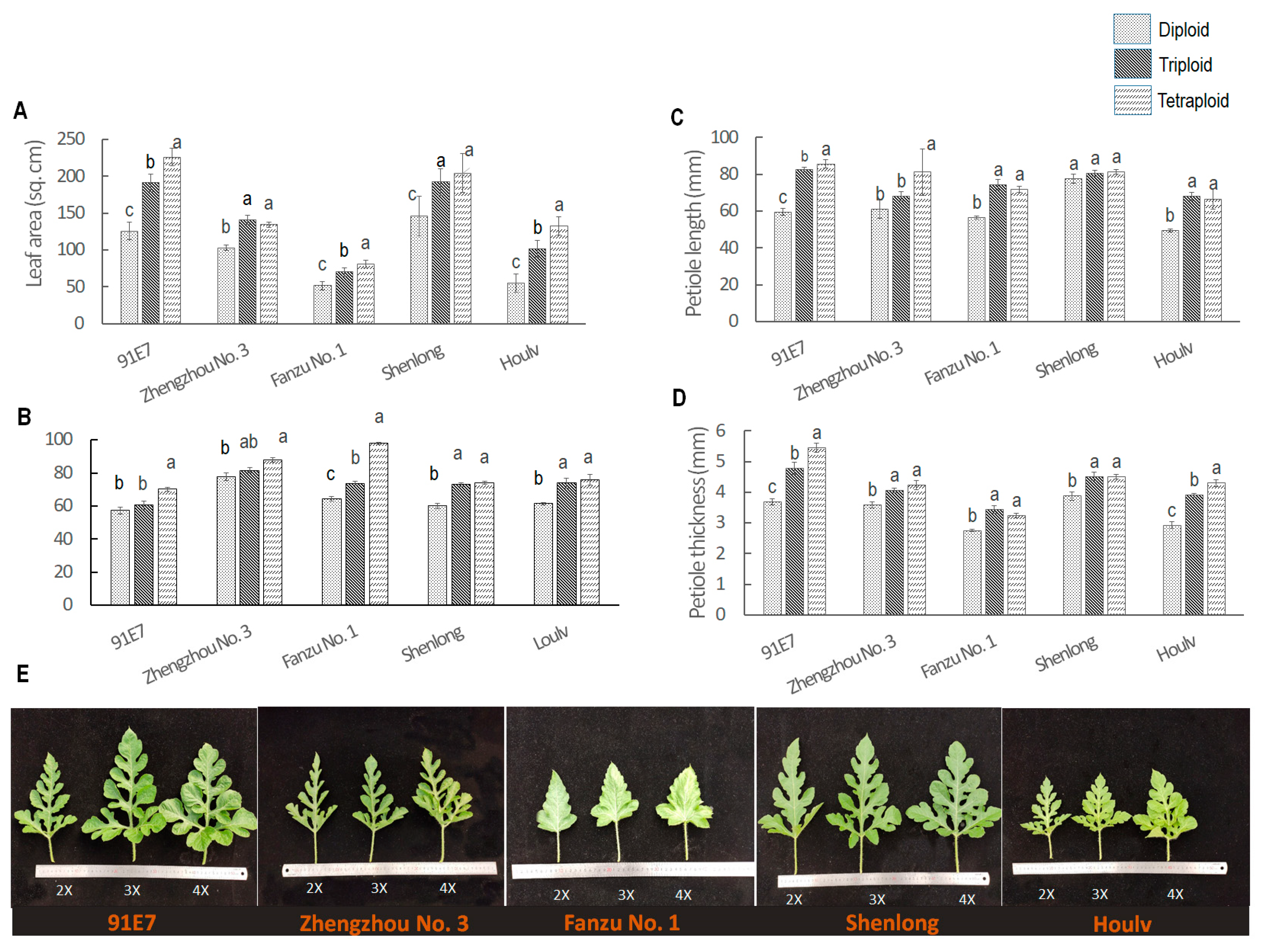 Horticulturae 10 00569 g003