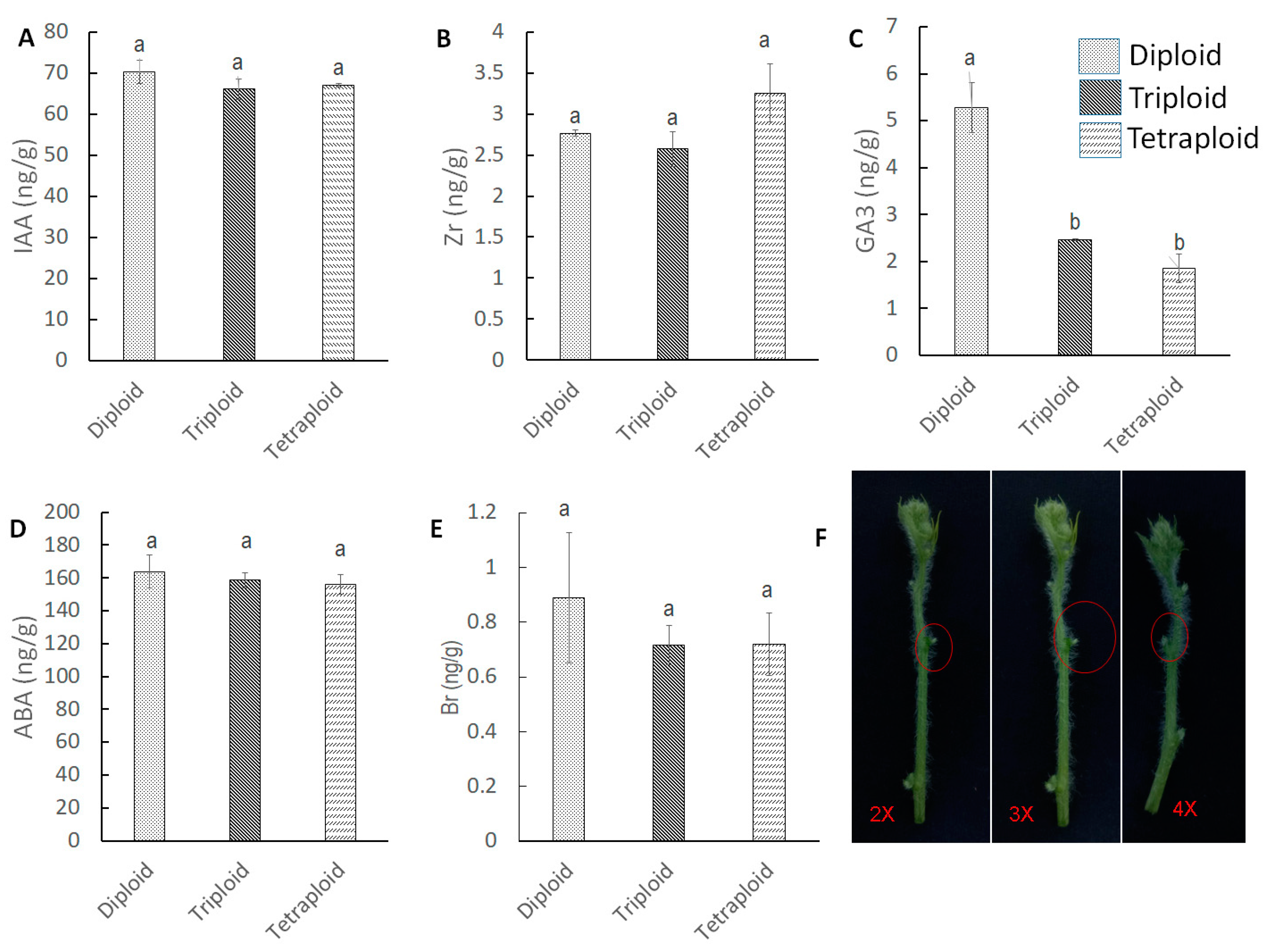 Horticulturae 10 00569 g006