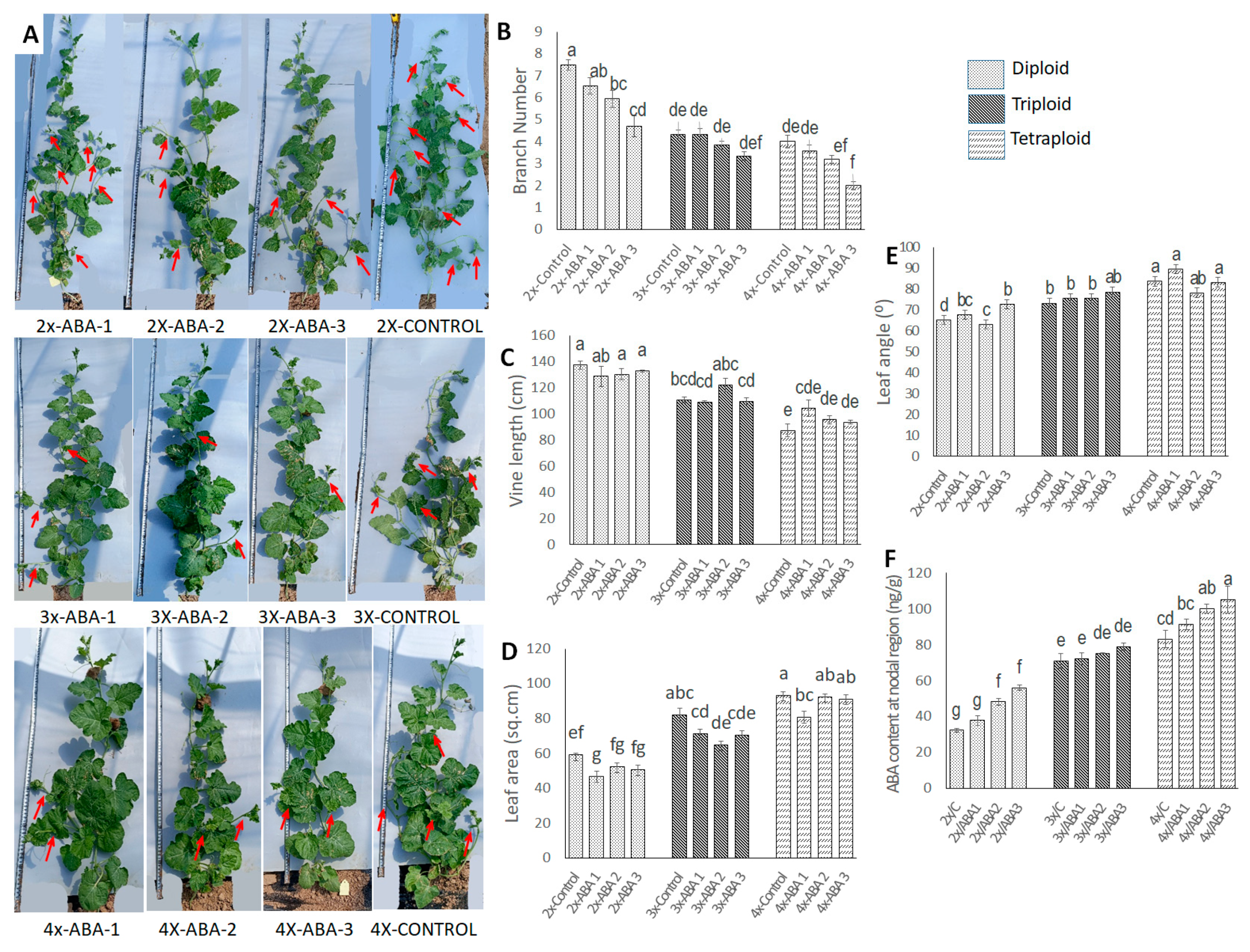 Horticulturae 10 00569 g010