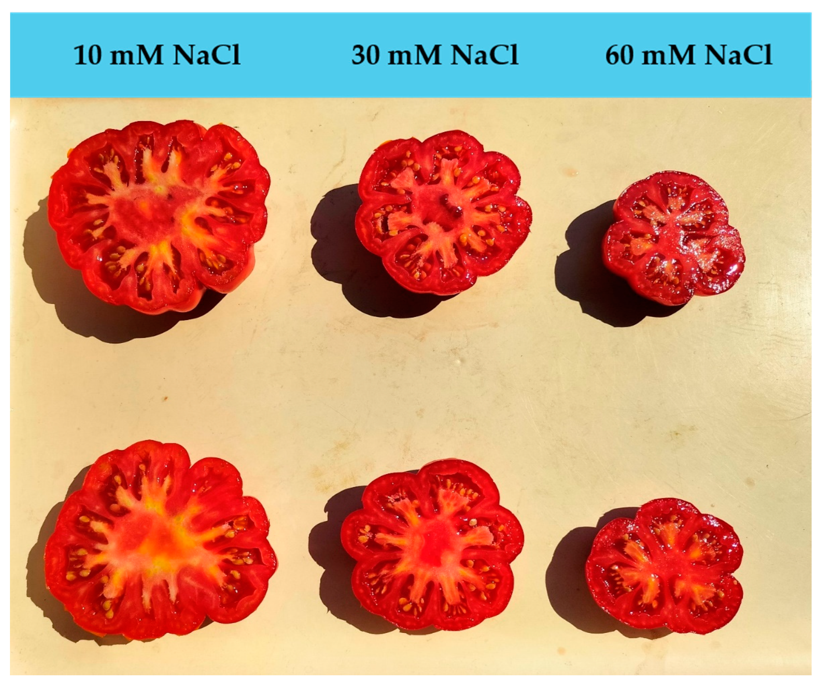 Horticulturae 10 00570 g002