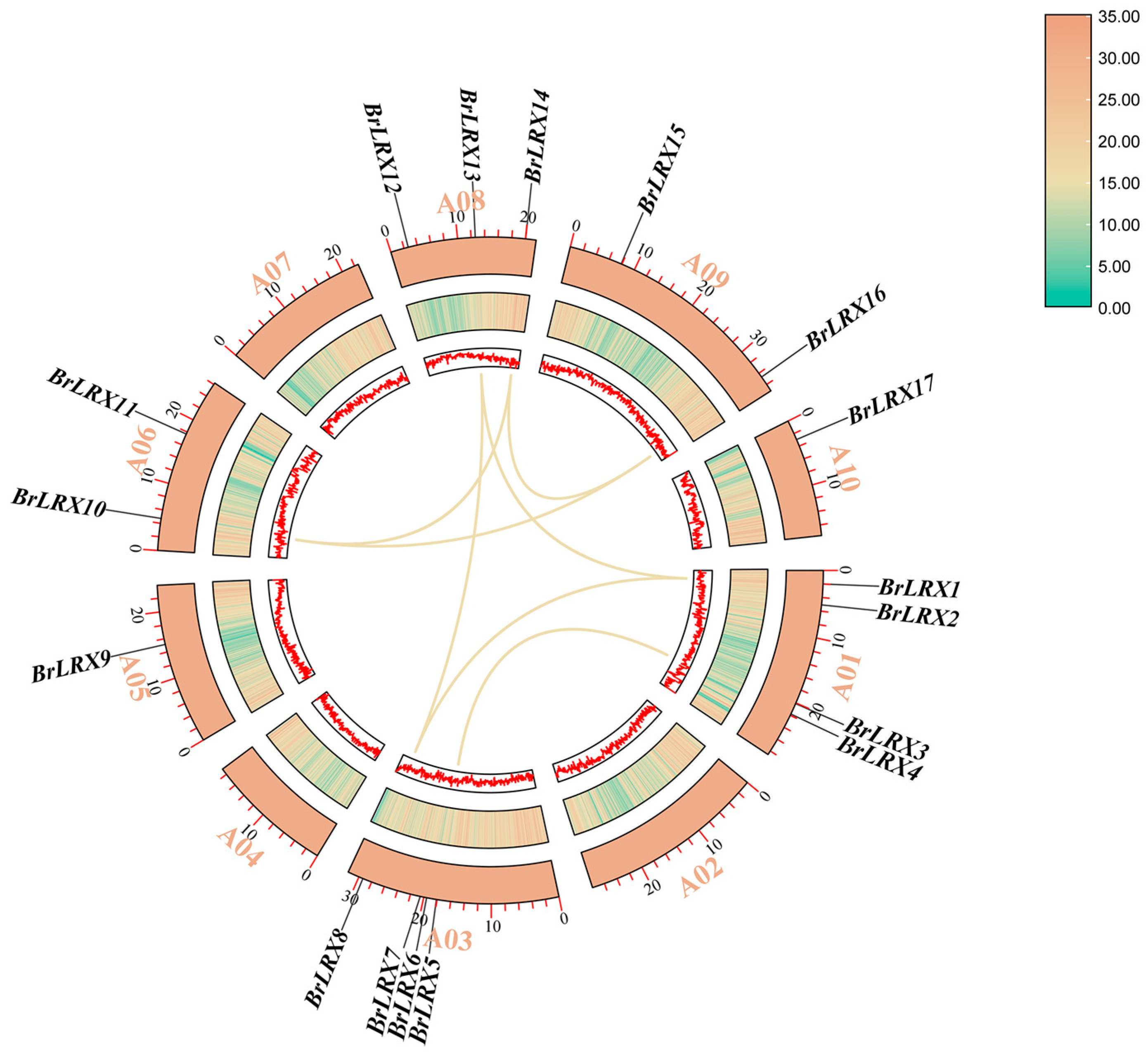 Horticulturae 10 00571 g001