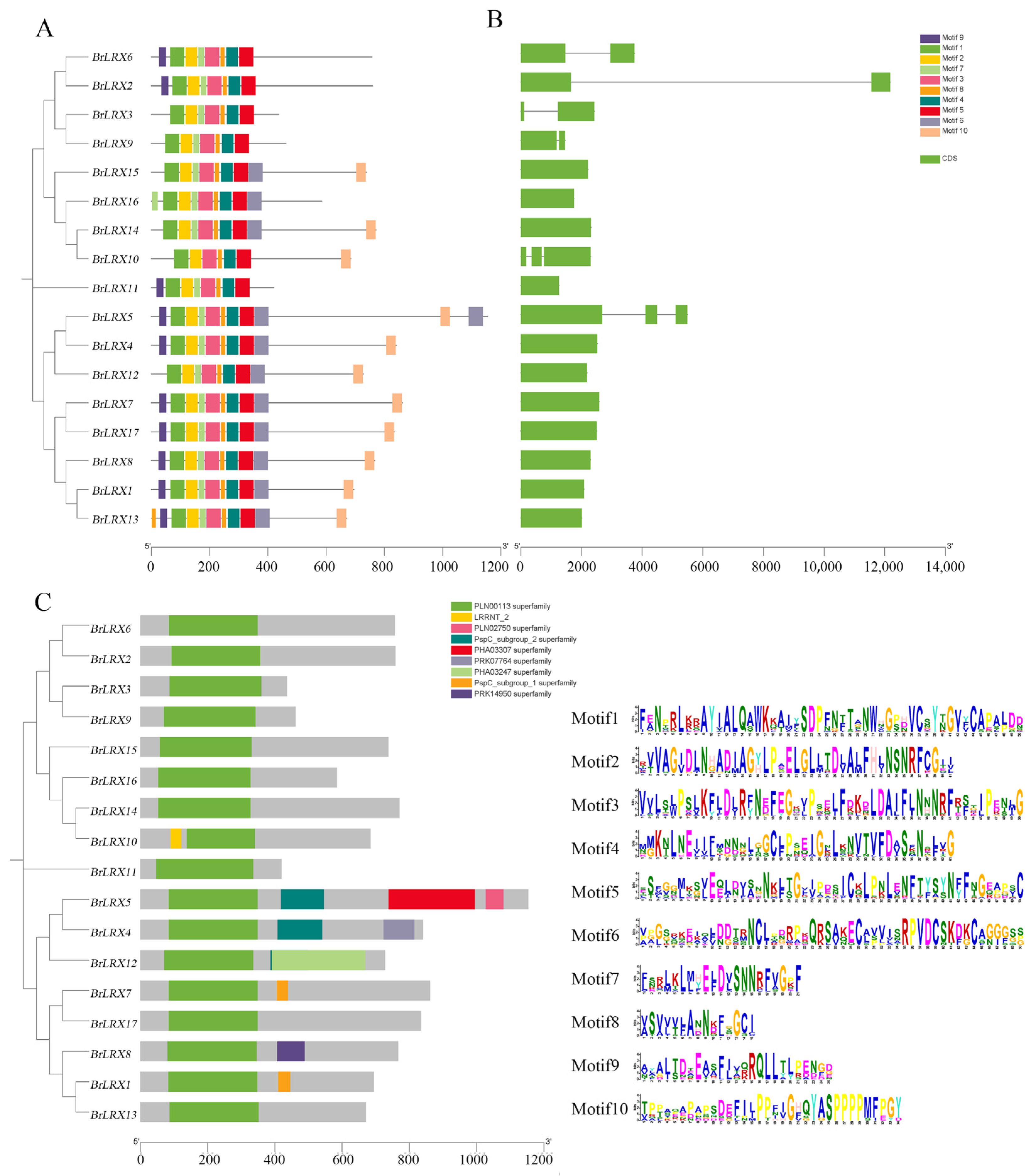Horticulturae 10 00571 g003