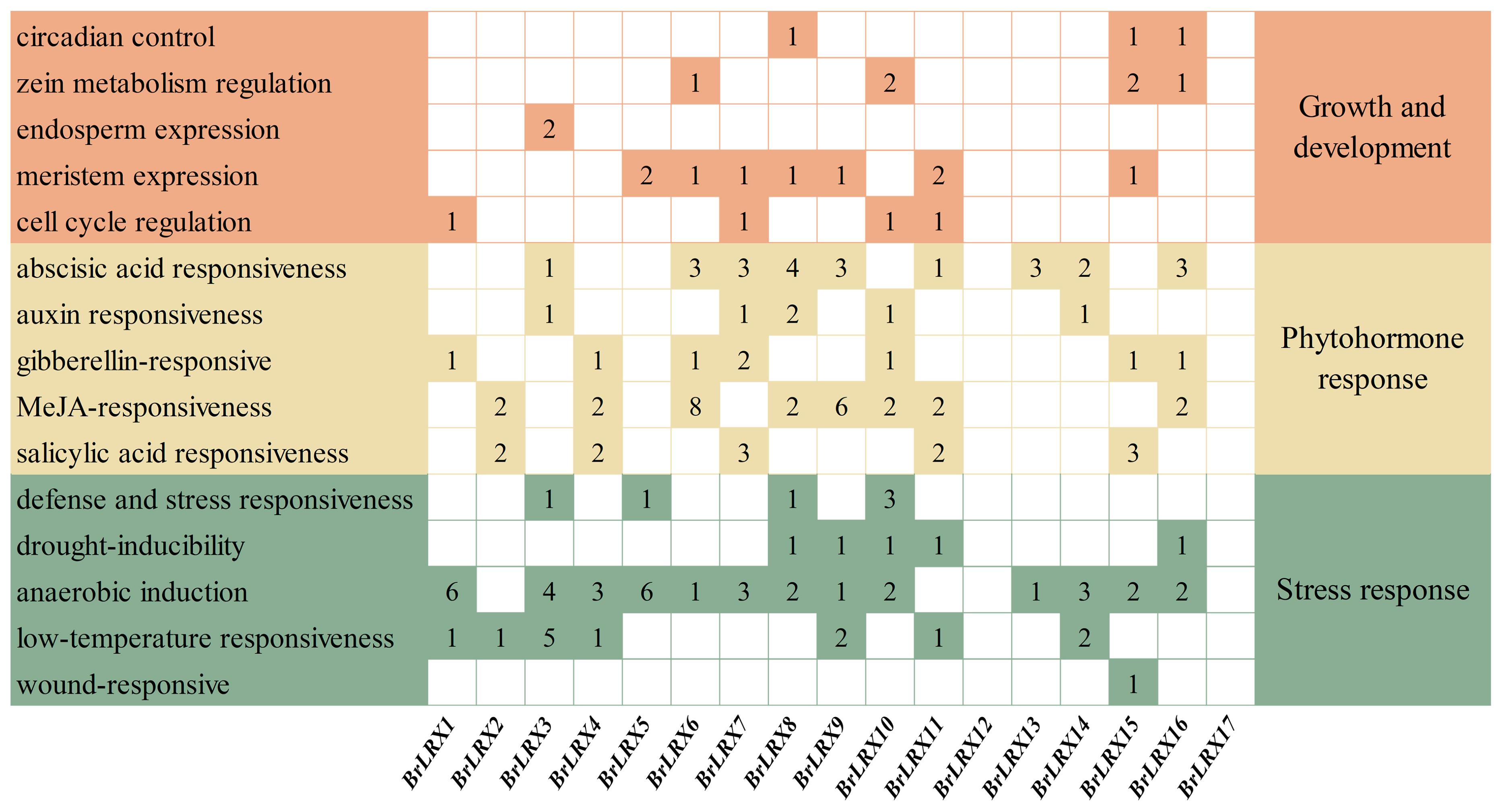 Horticulturae 10 00571 g004