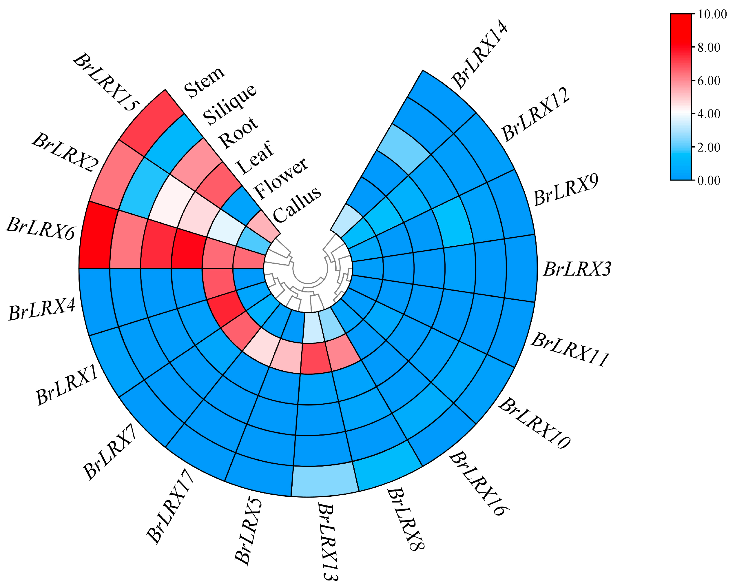 Horticulturae 10 00571 g005