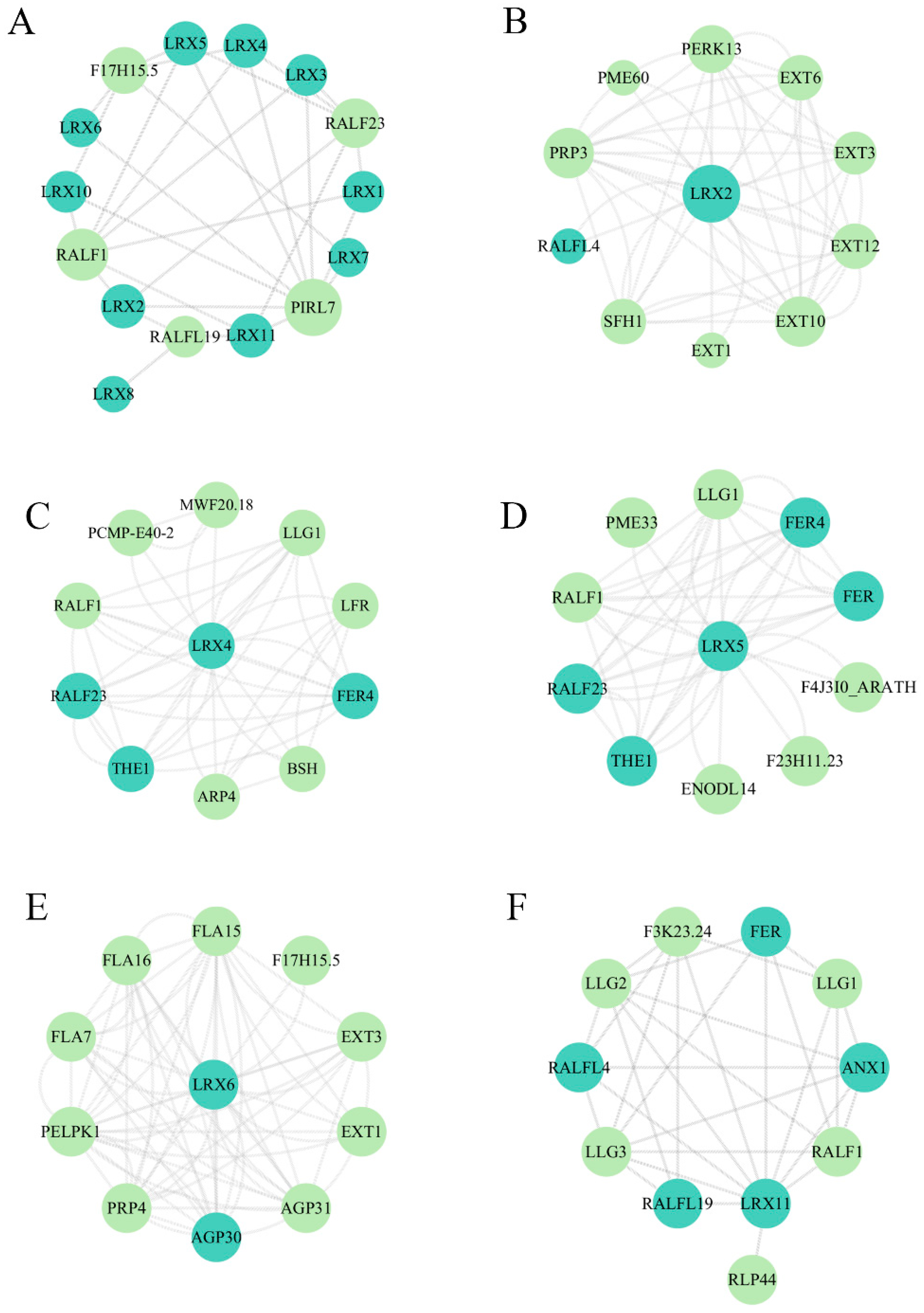 Horticulturae 10 00571 g010