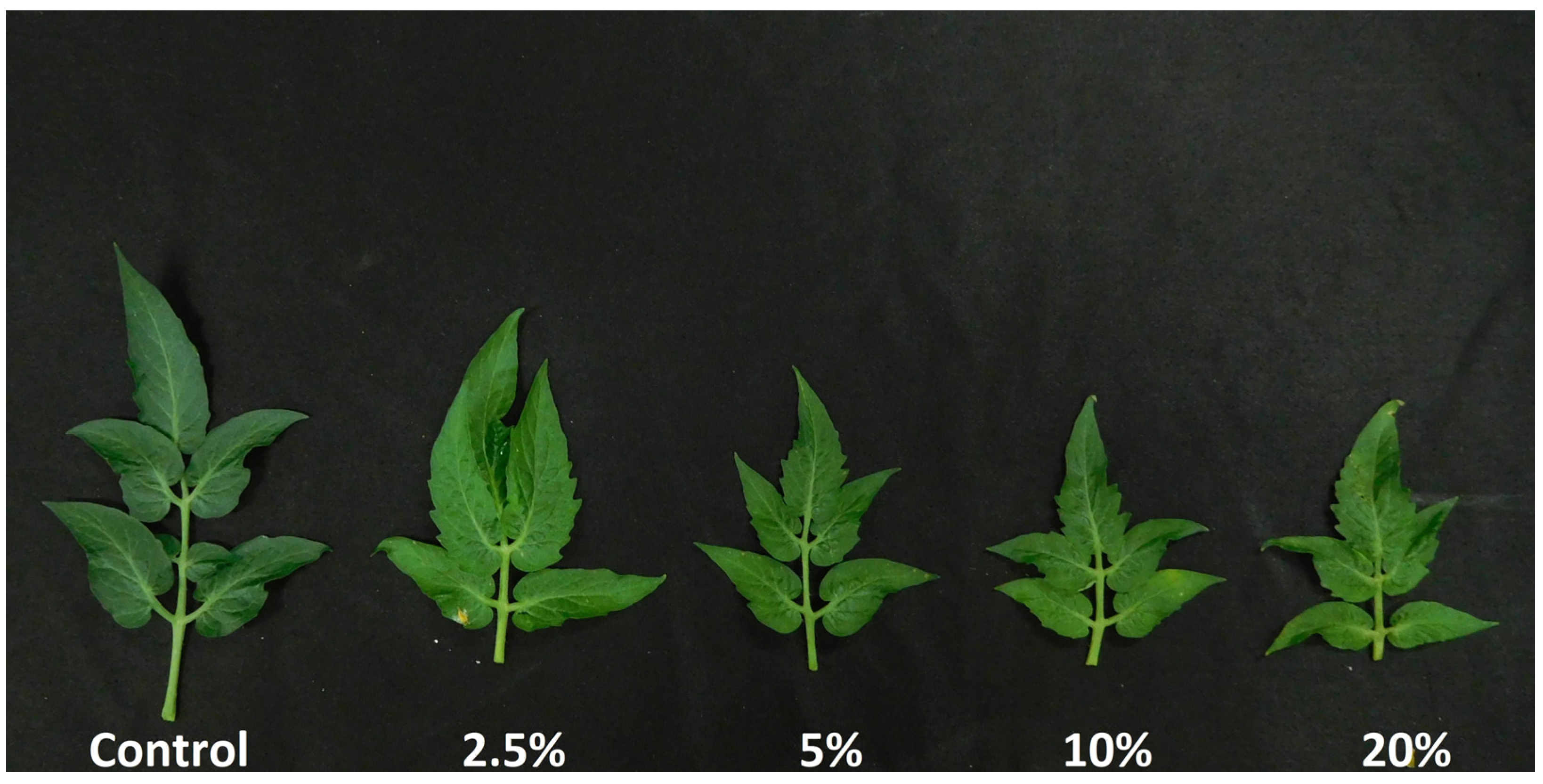 Horticulturae 10 00573 g004