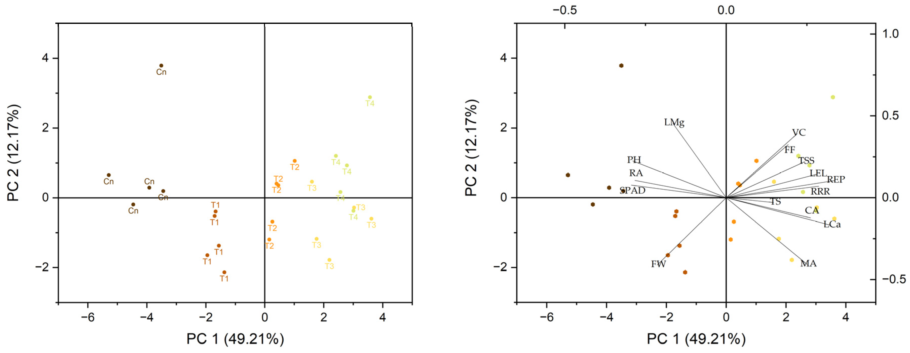 Horticulturae 10 00573 g005