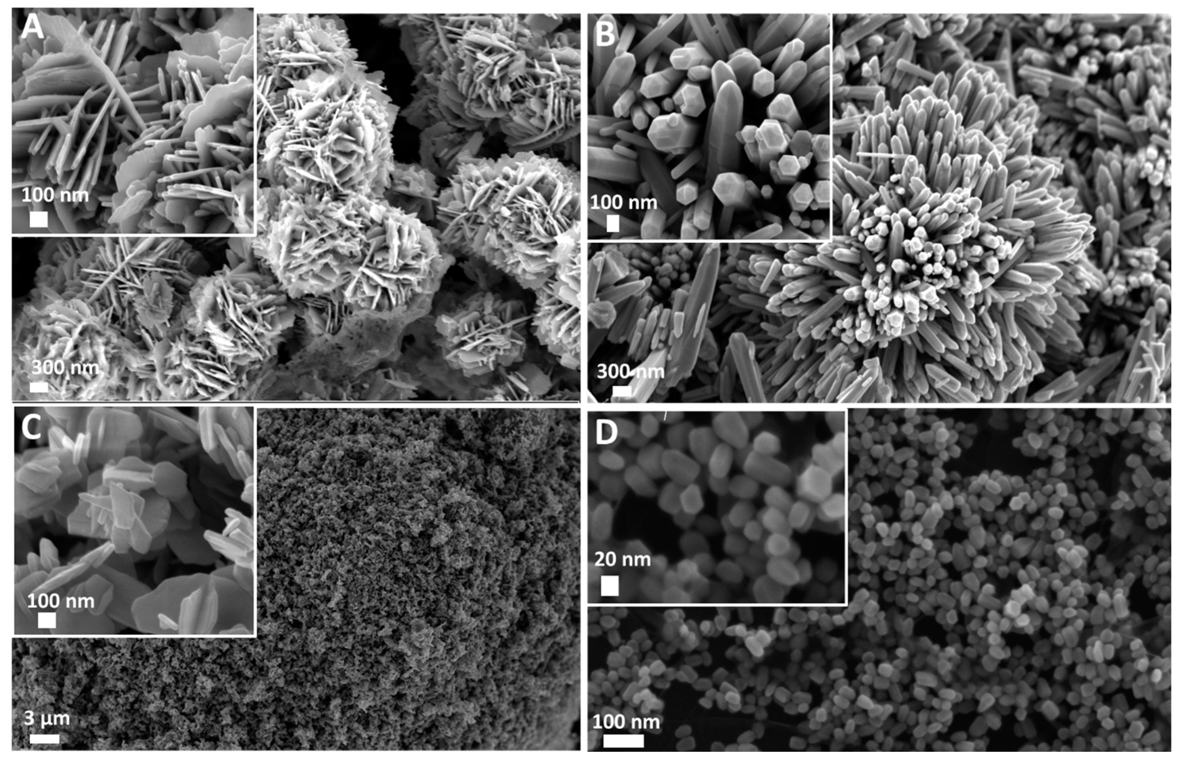Horticulturae 10 00575 g001