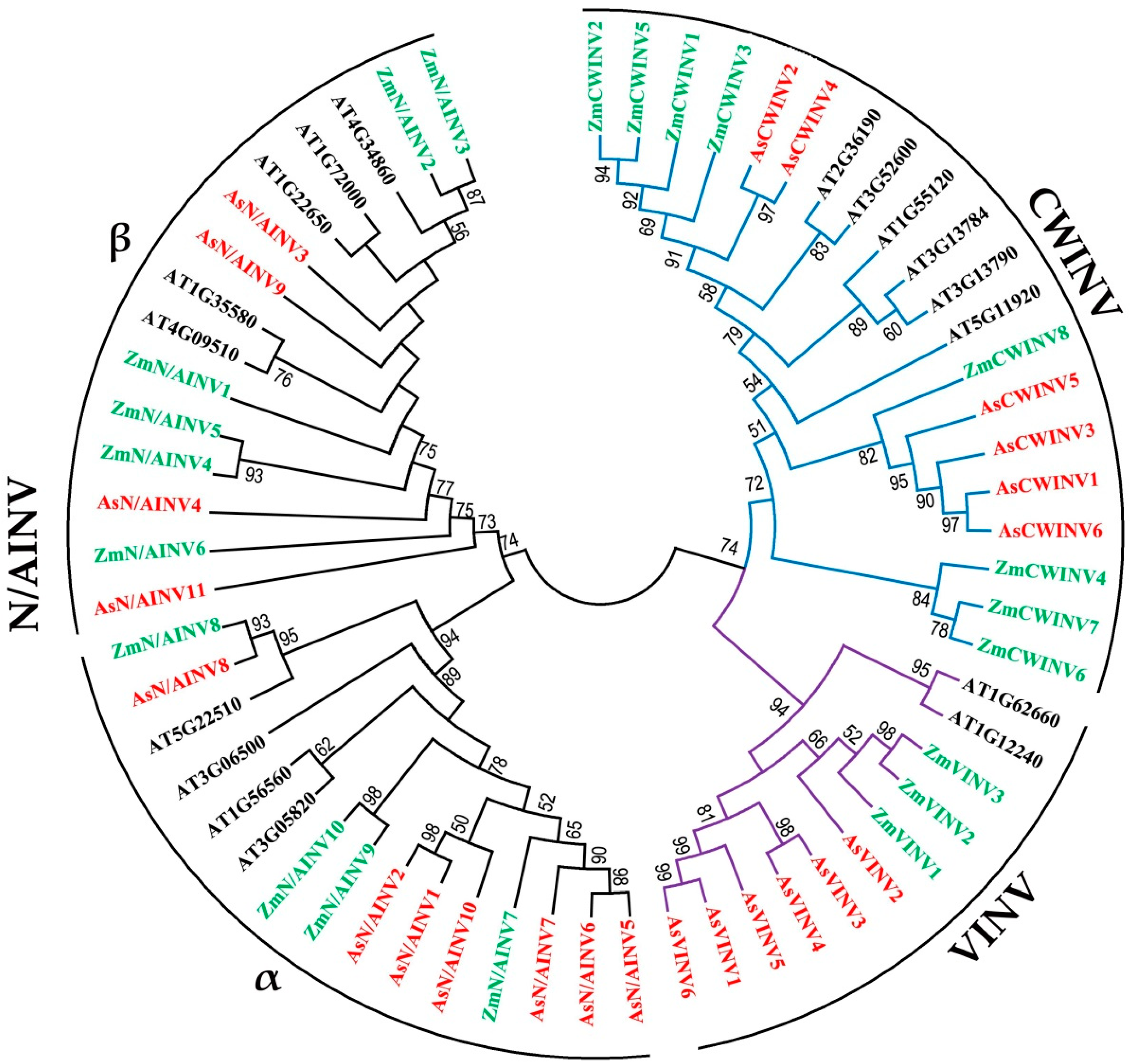 Horticulturae 10 00581 g002