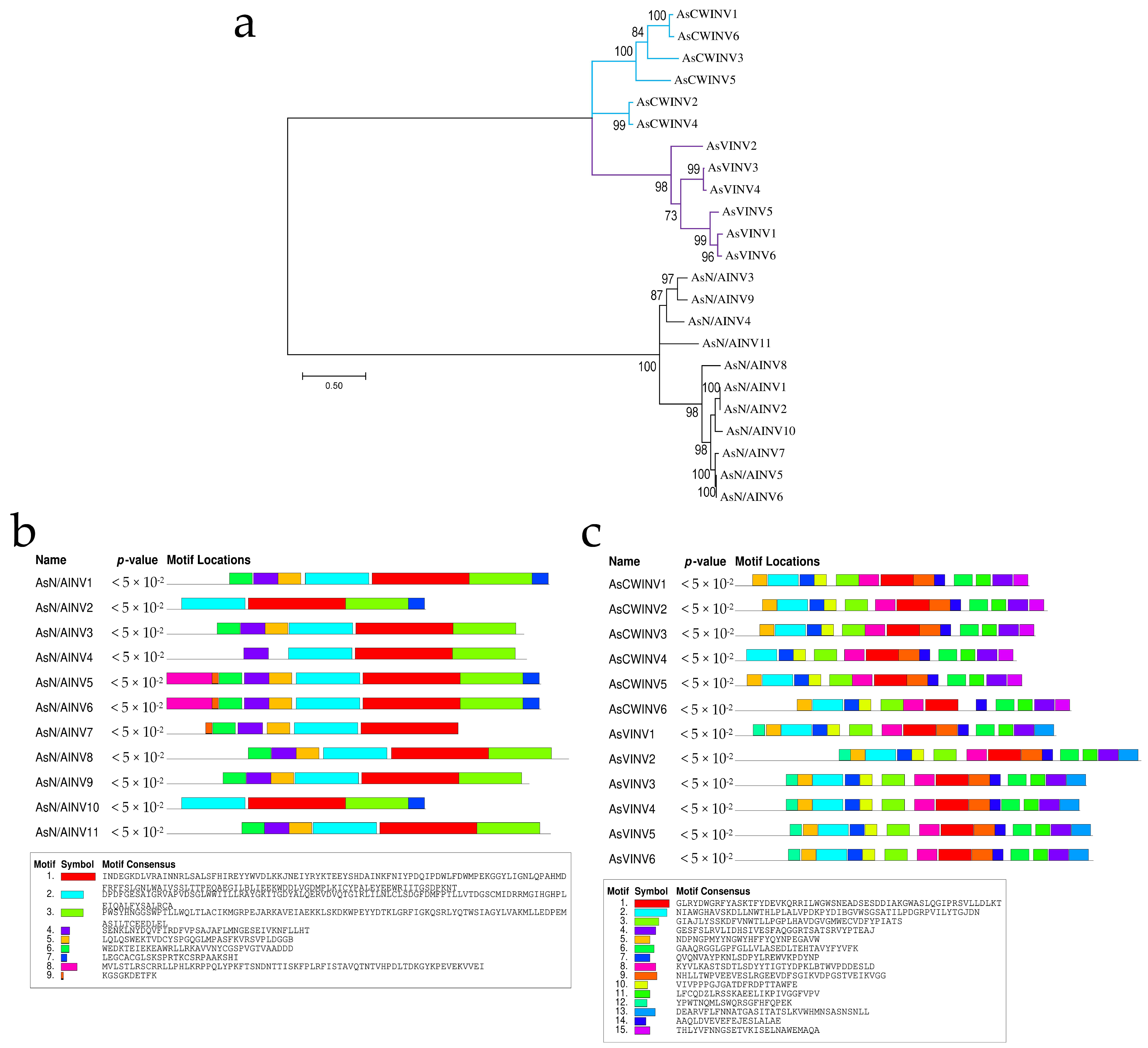Horticulturae 10 00581 g003