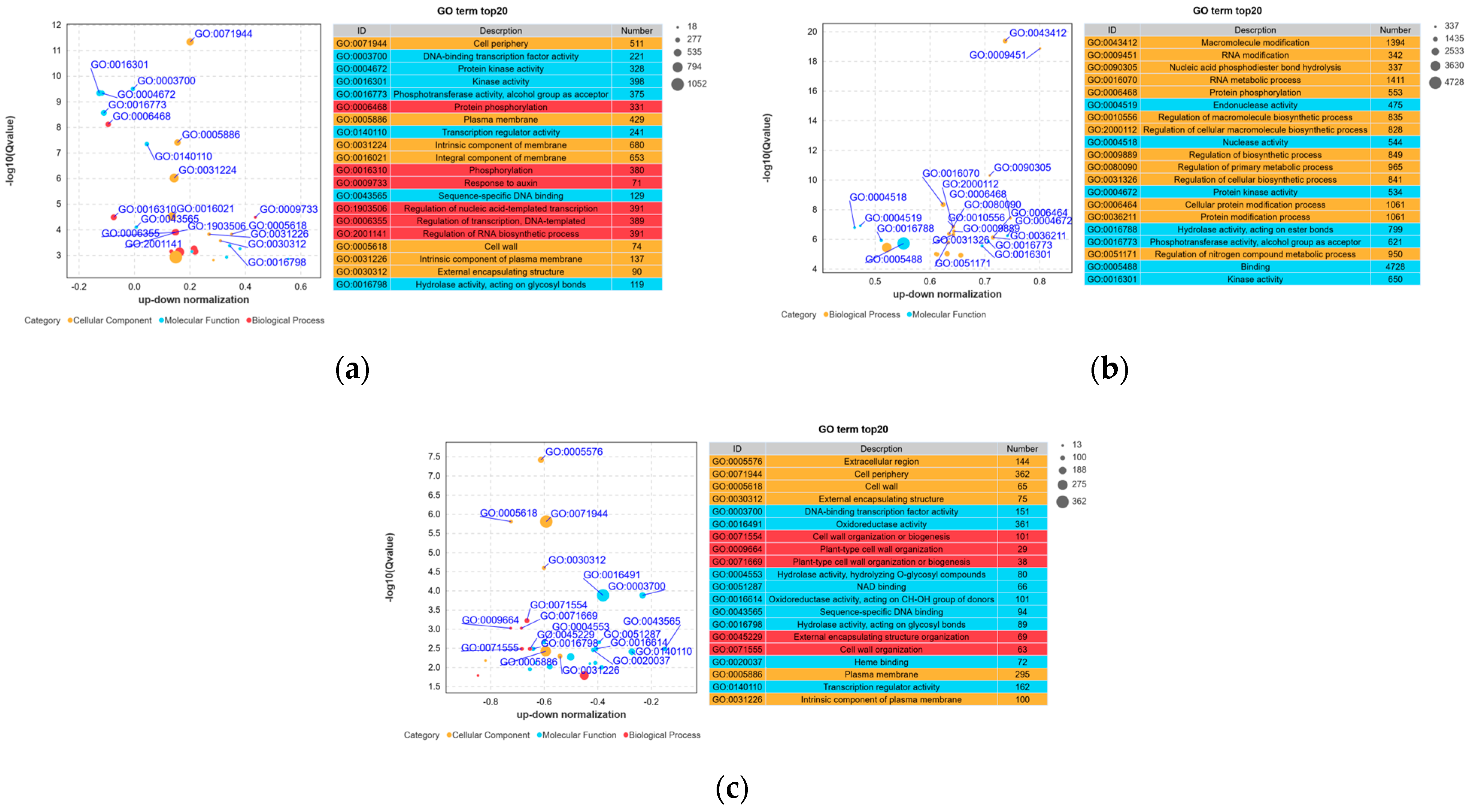 Horticulturae 10 00586 g005