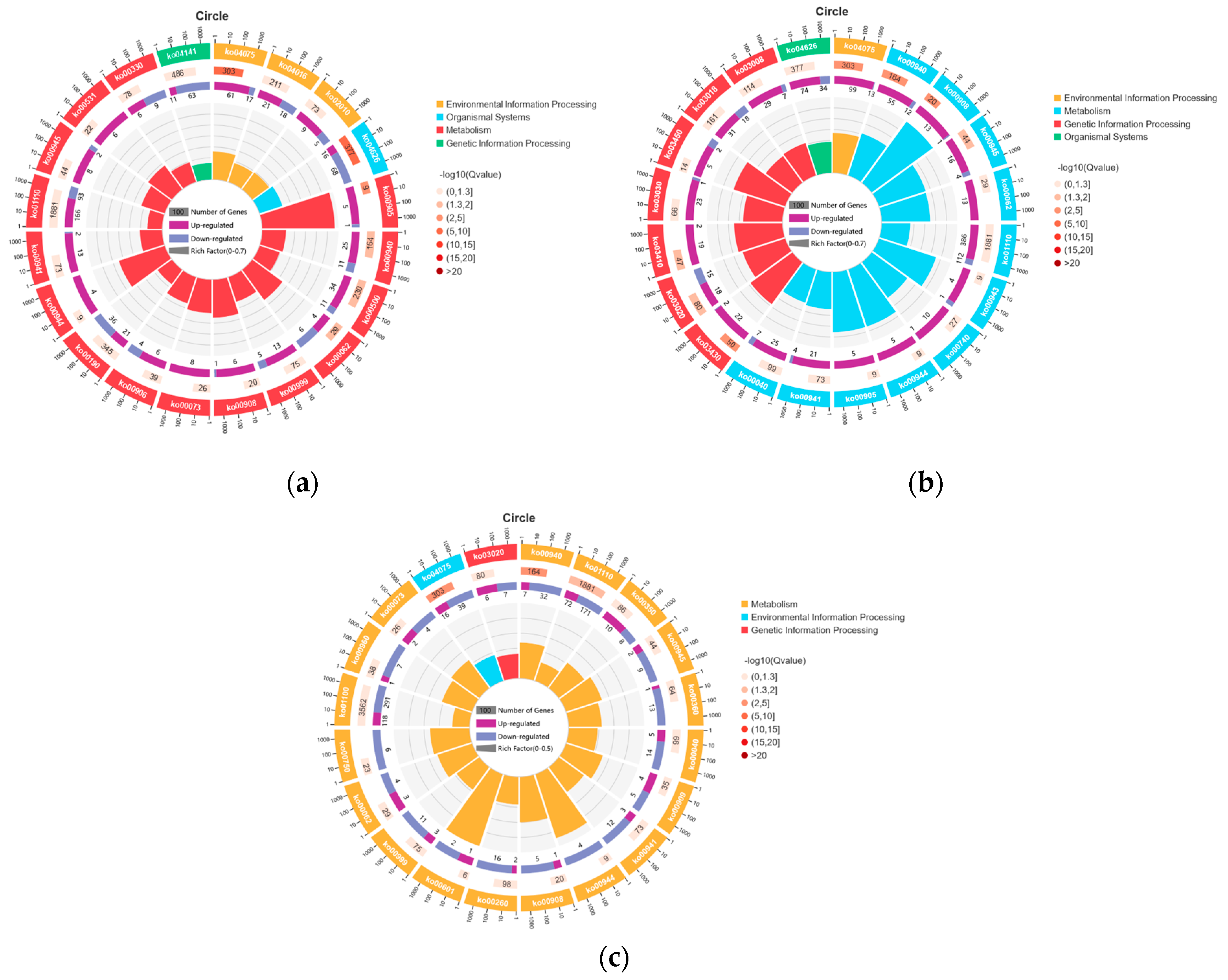 Horticulturae 10 00586 g006