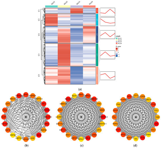 The Molecular Biology Analysis for the Growing and