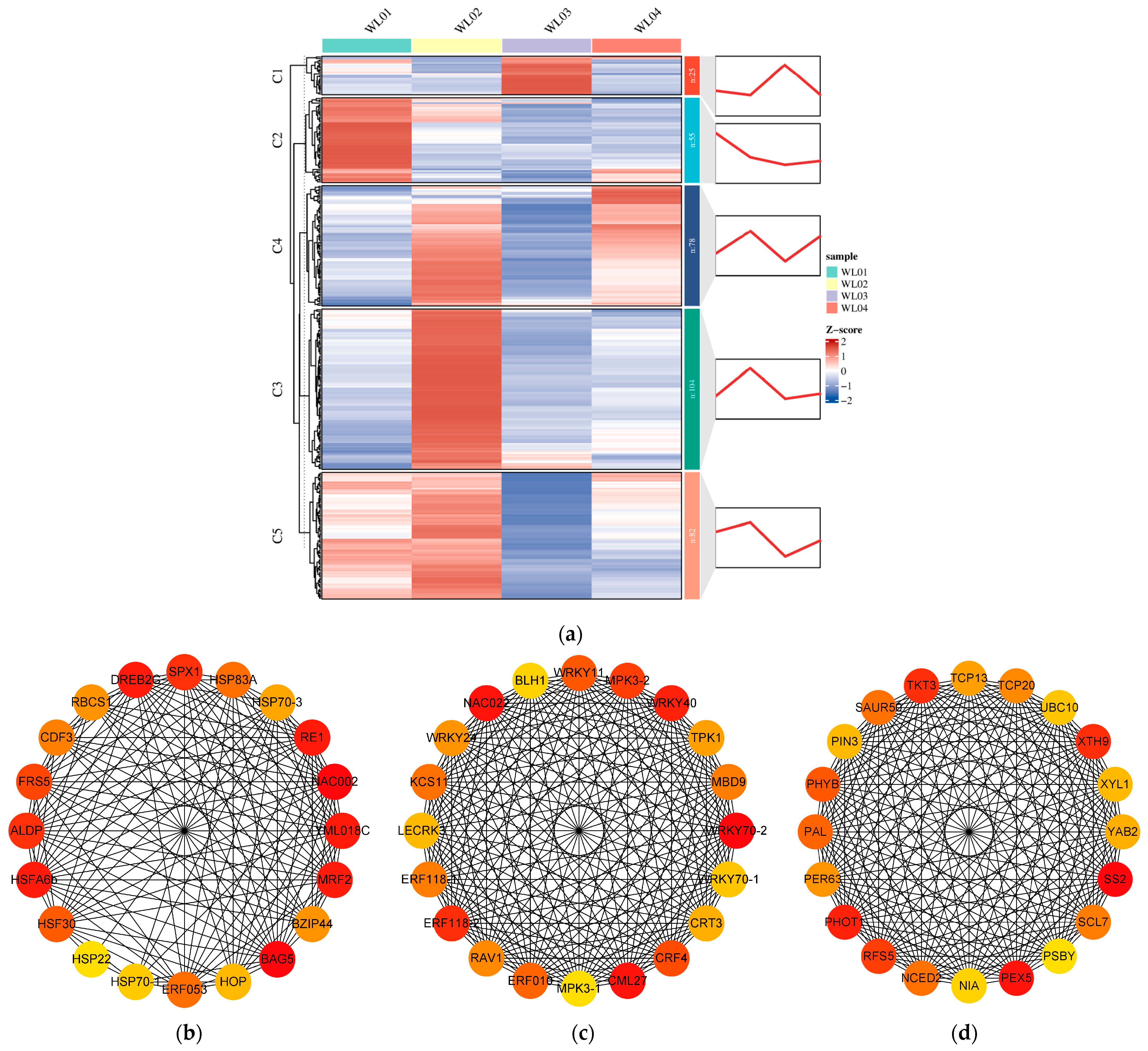 Horticulturae 10 00586 g007