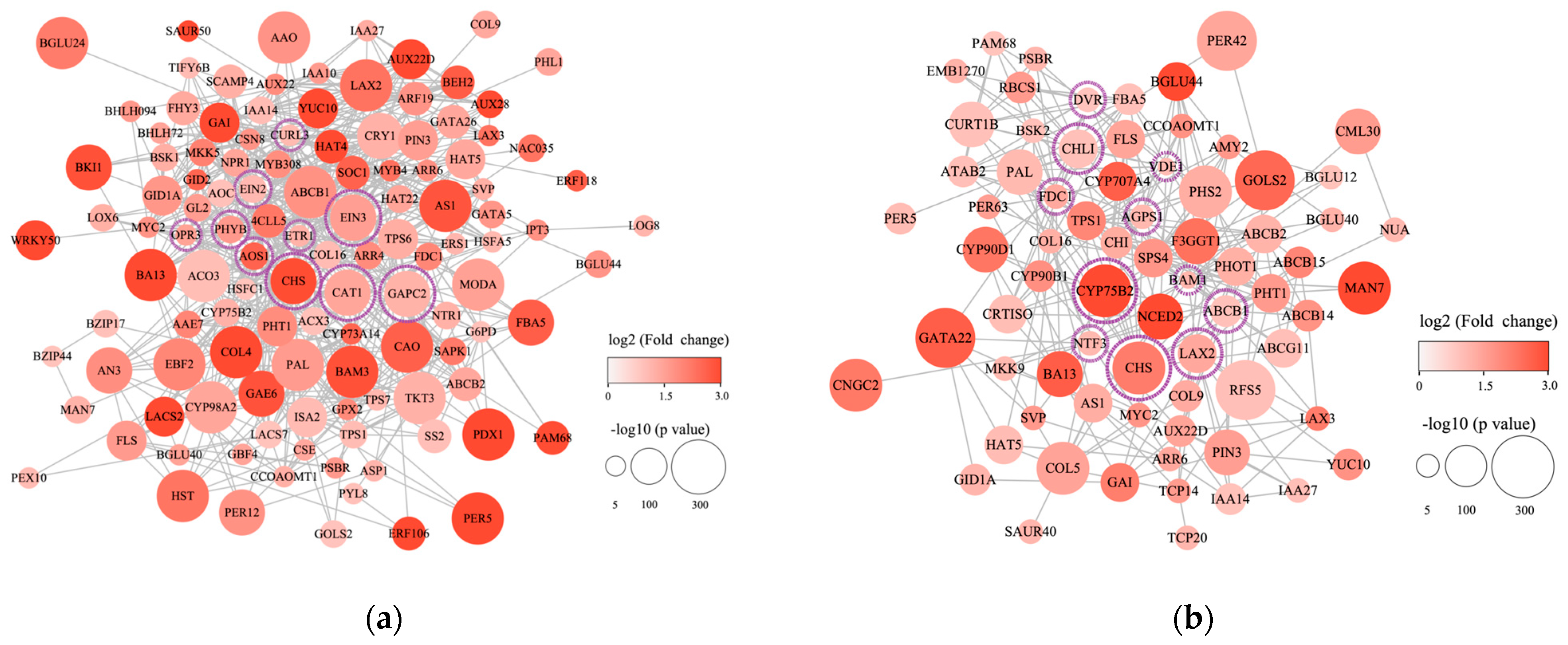 Horticulturae 10 00586 g008