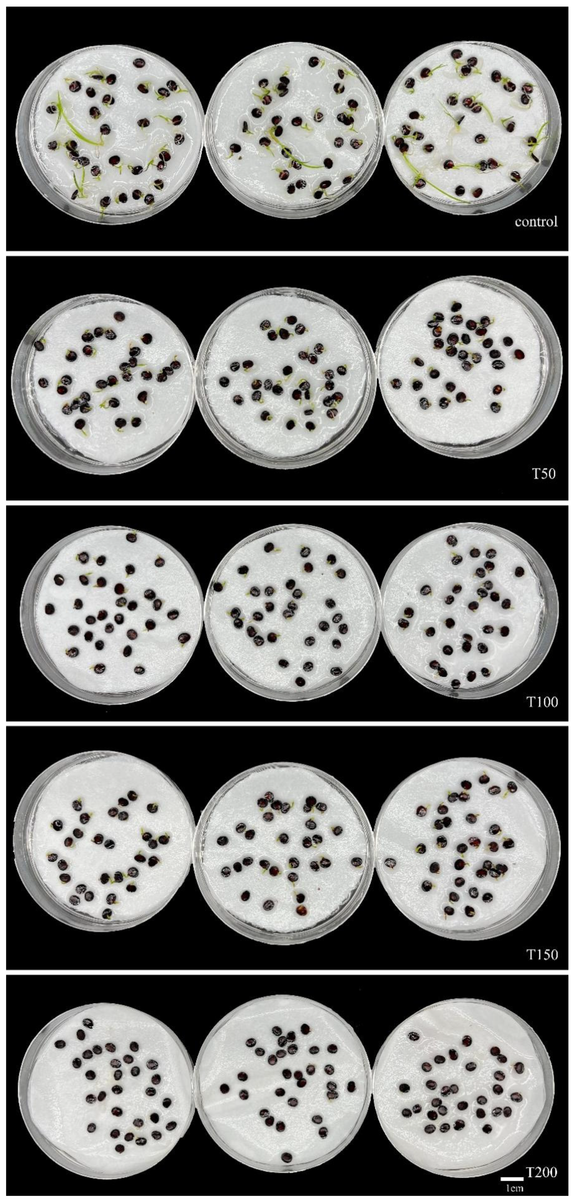 Horticulturae 10 00588 g009
