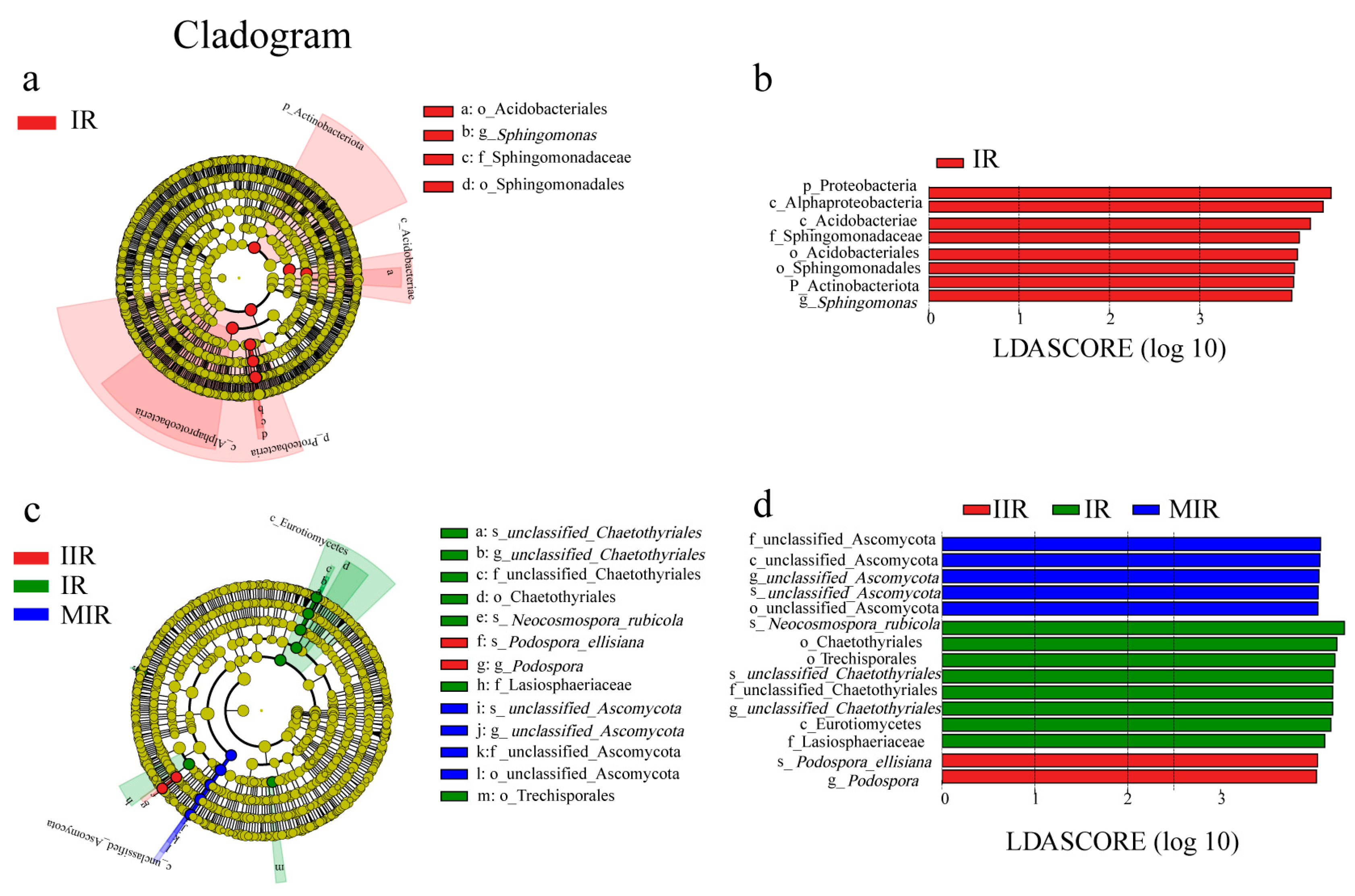 Horticulturae 10 00592 g006