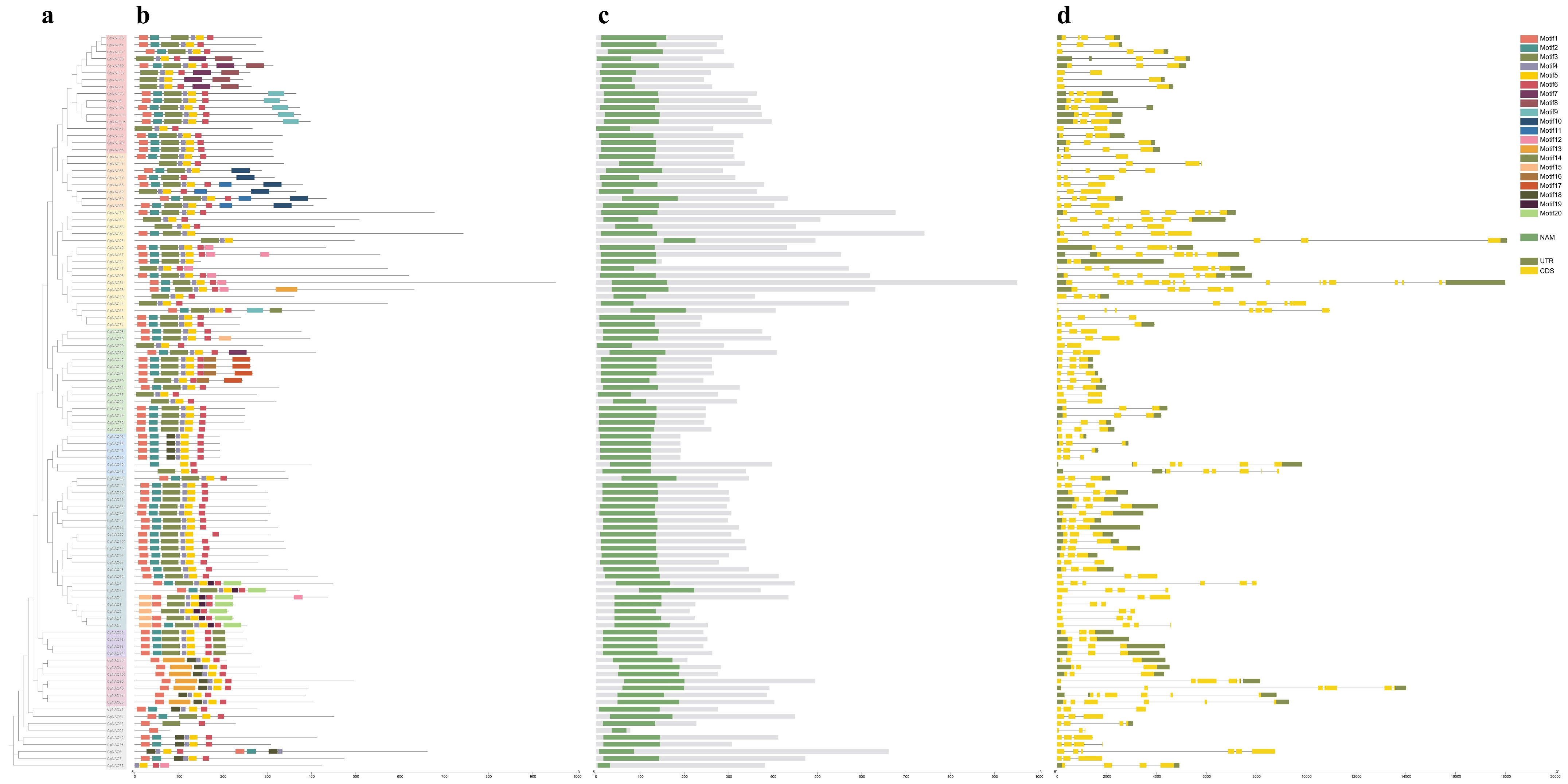 Horticulturae 10 00595 g003