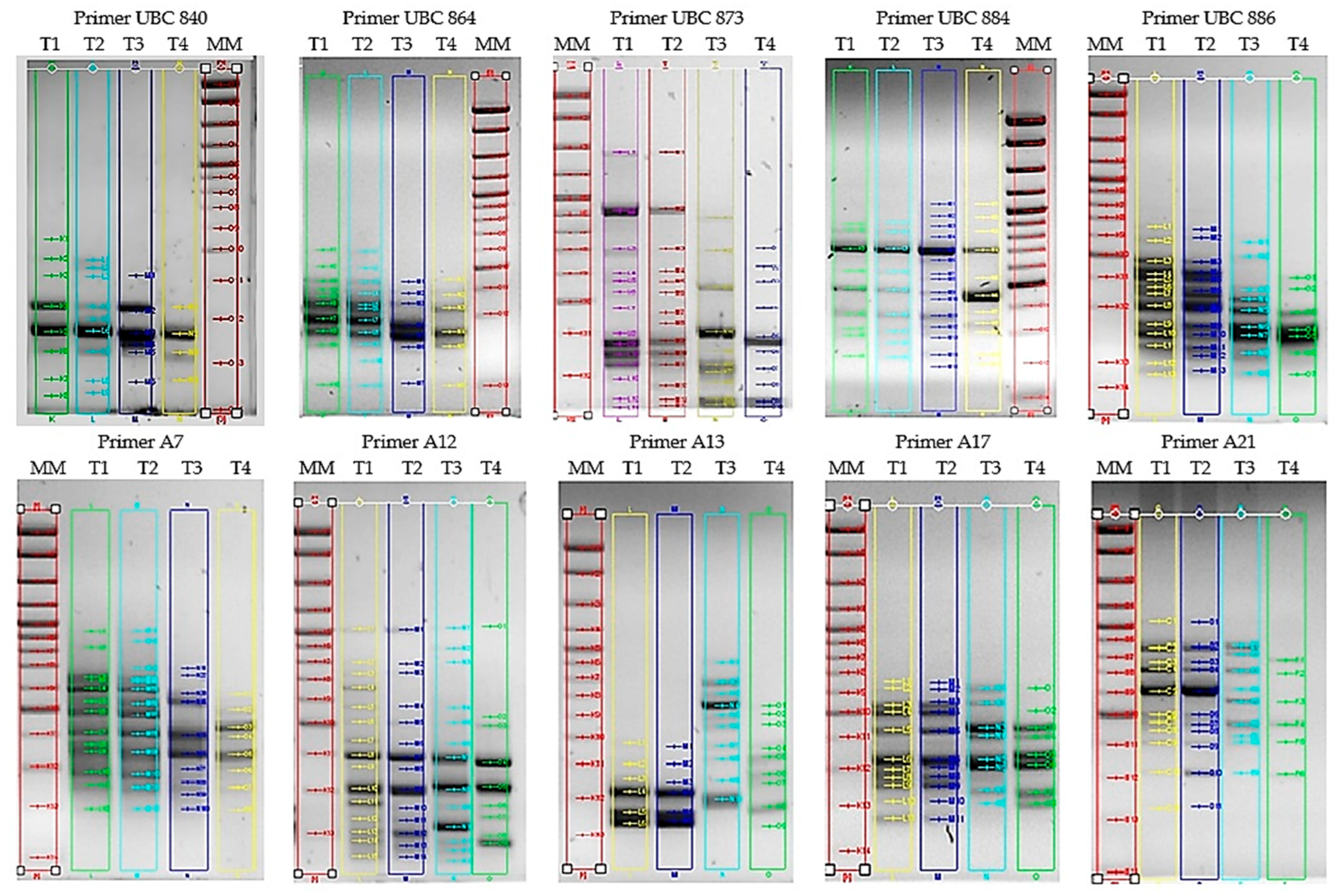 Horticulturae 10 00596 g002