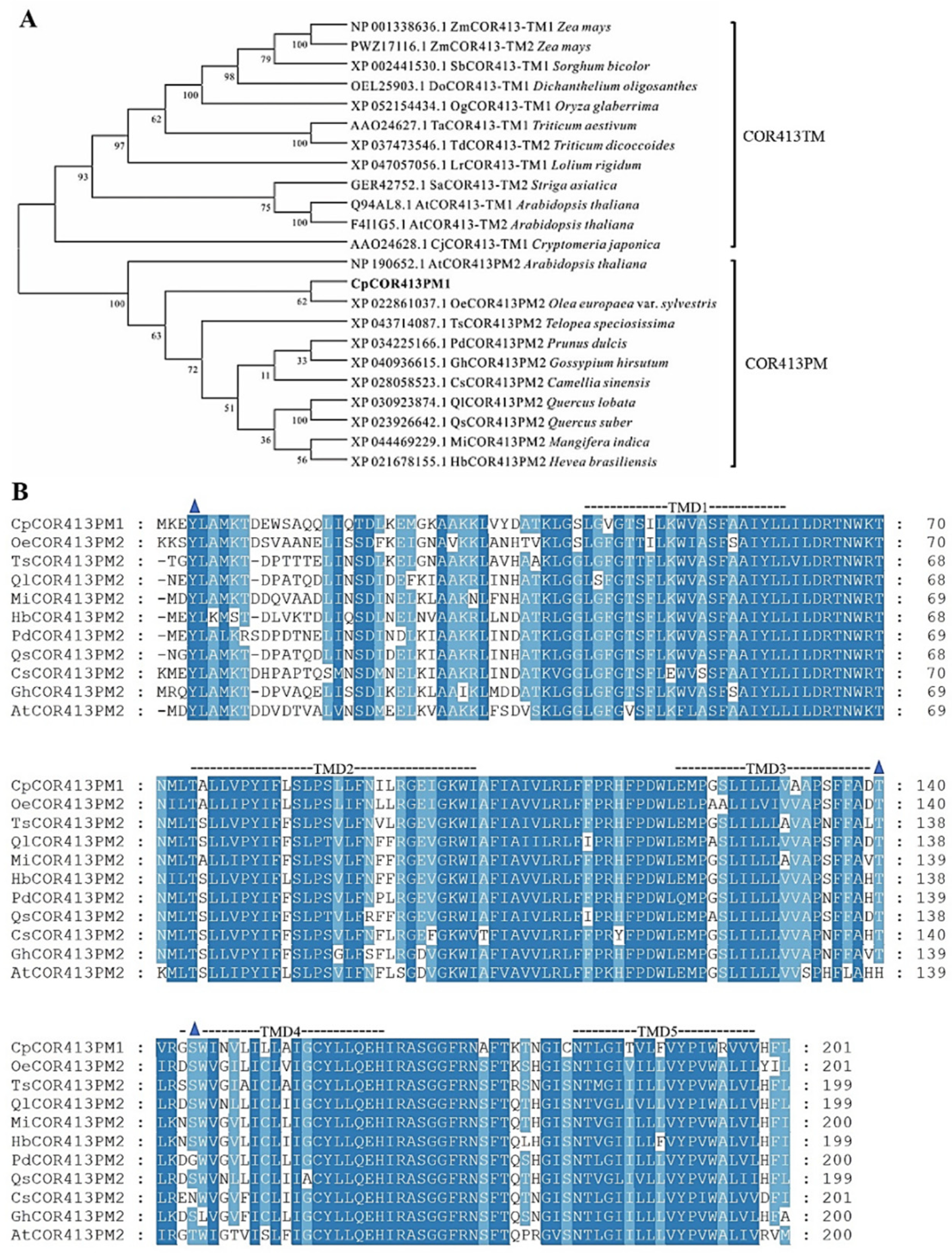Horticulturae 10 00599 g001