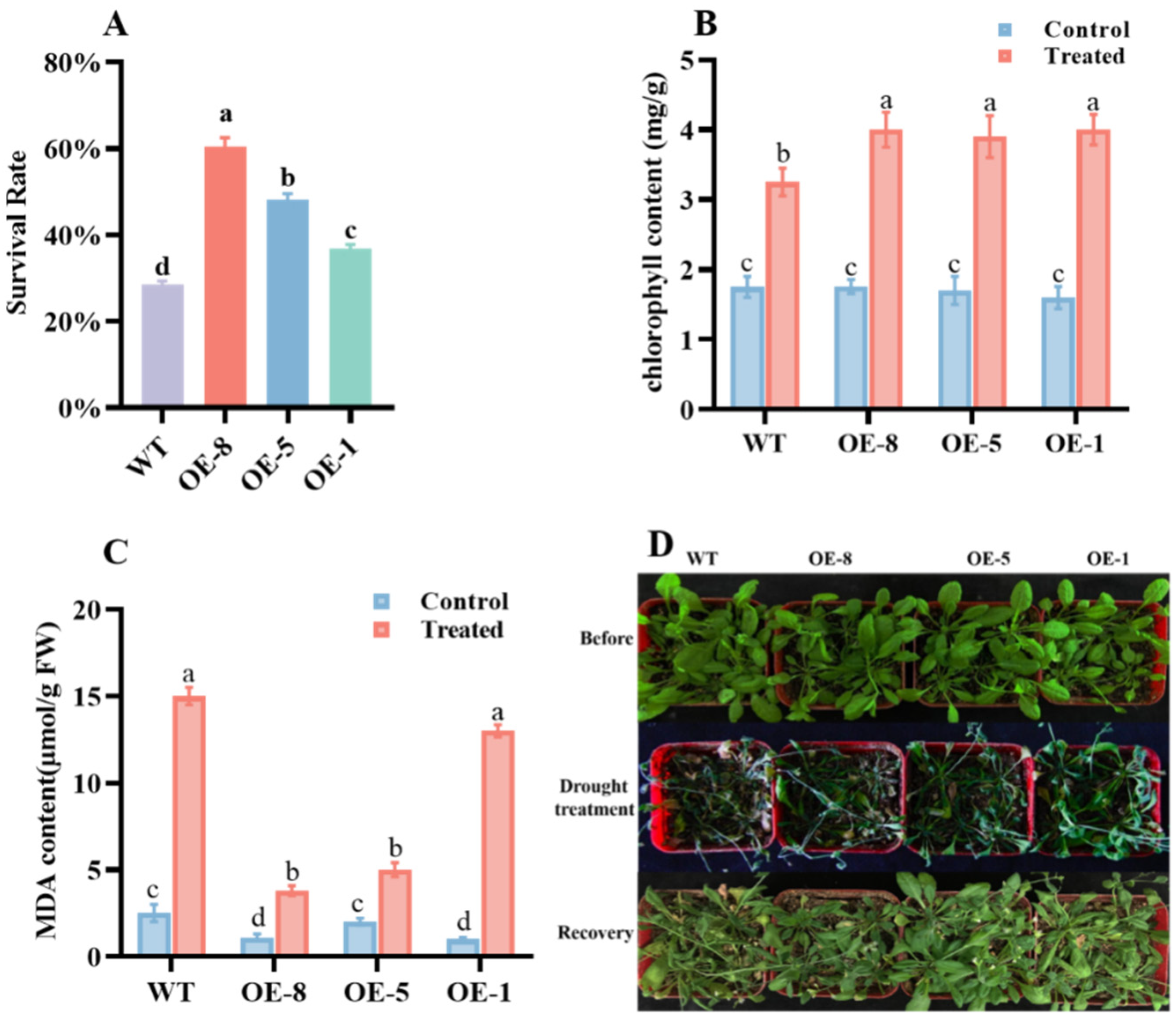 Horticulturae 10 00599 g008