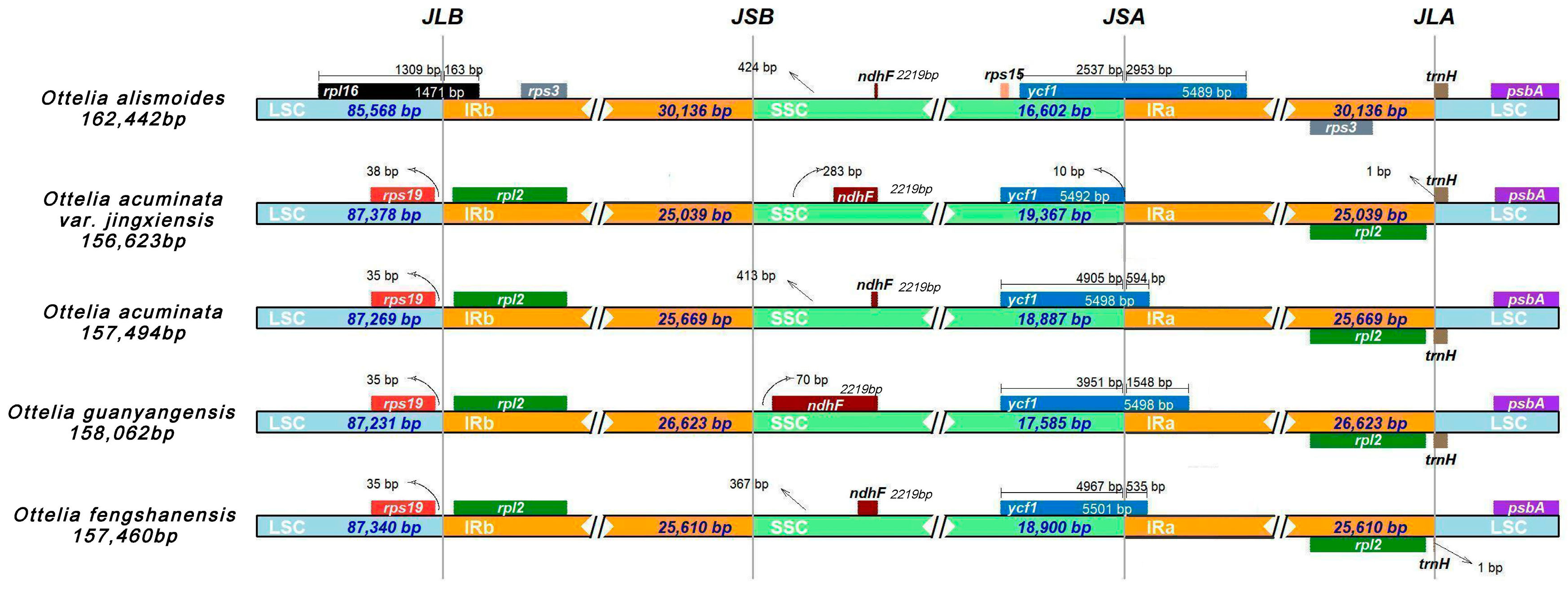 Horticulturae 10 00603 g003