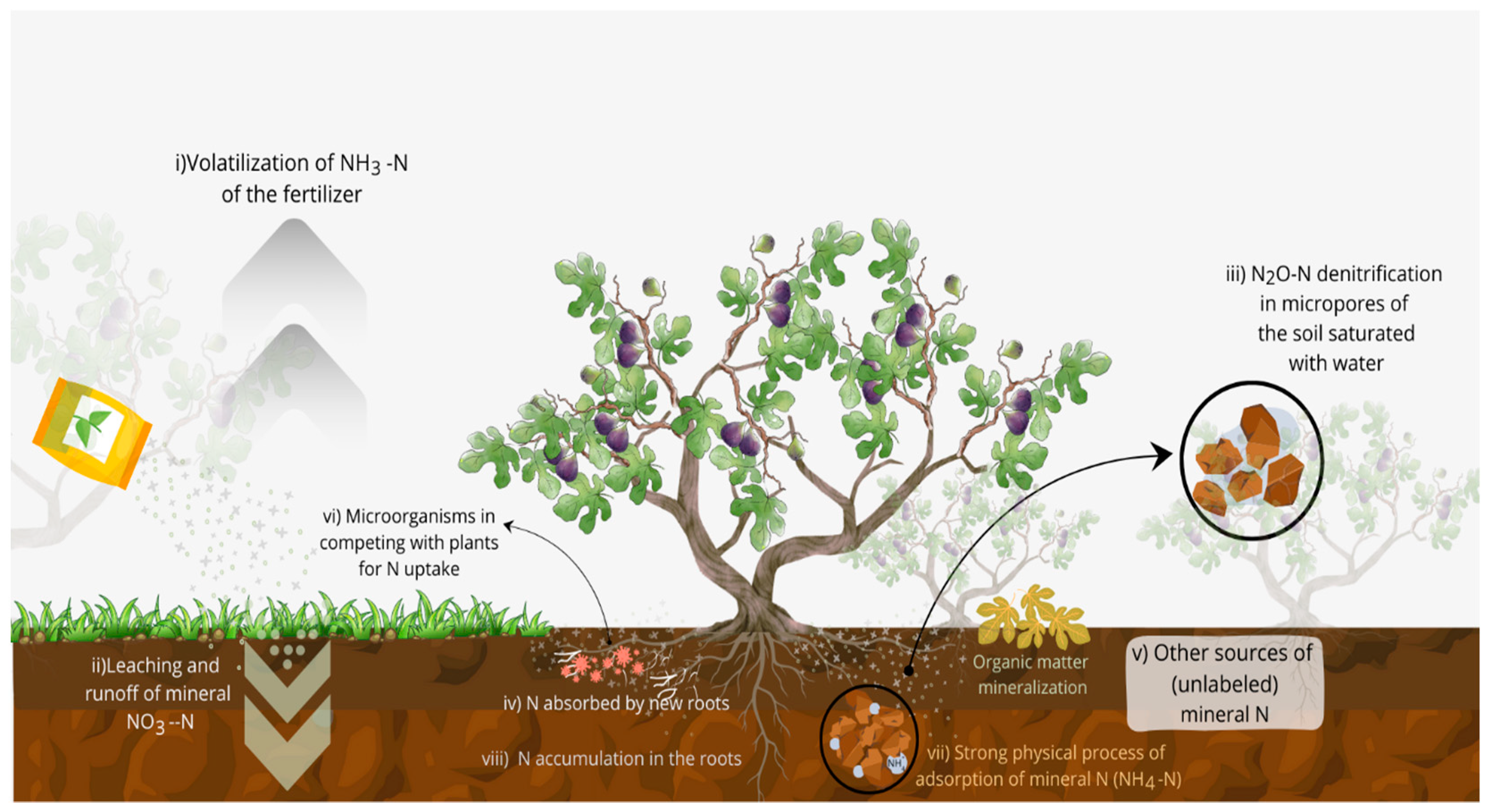 Horticulturae 10 00609 g002
