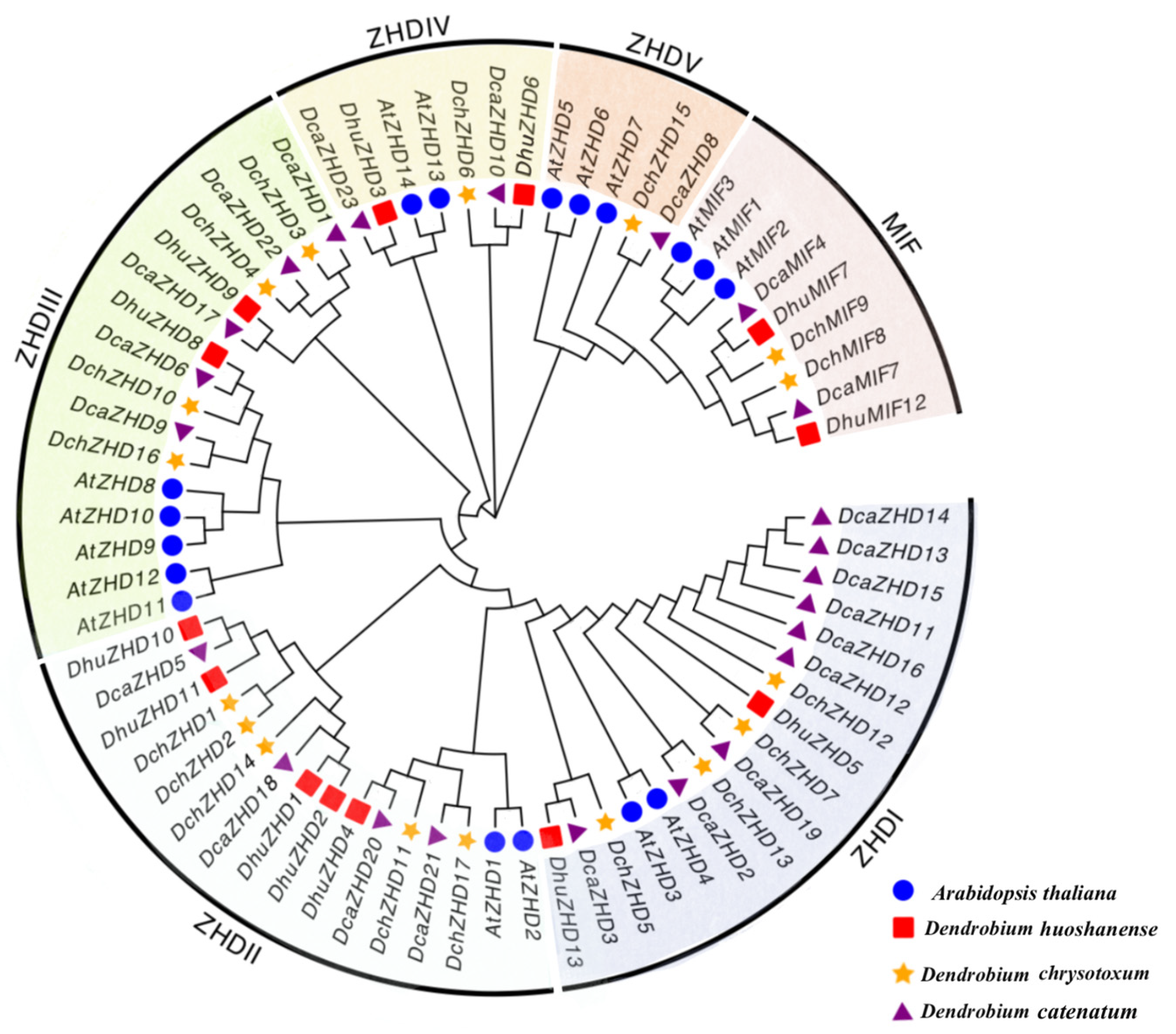 Horticulturae 10 00610 g001