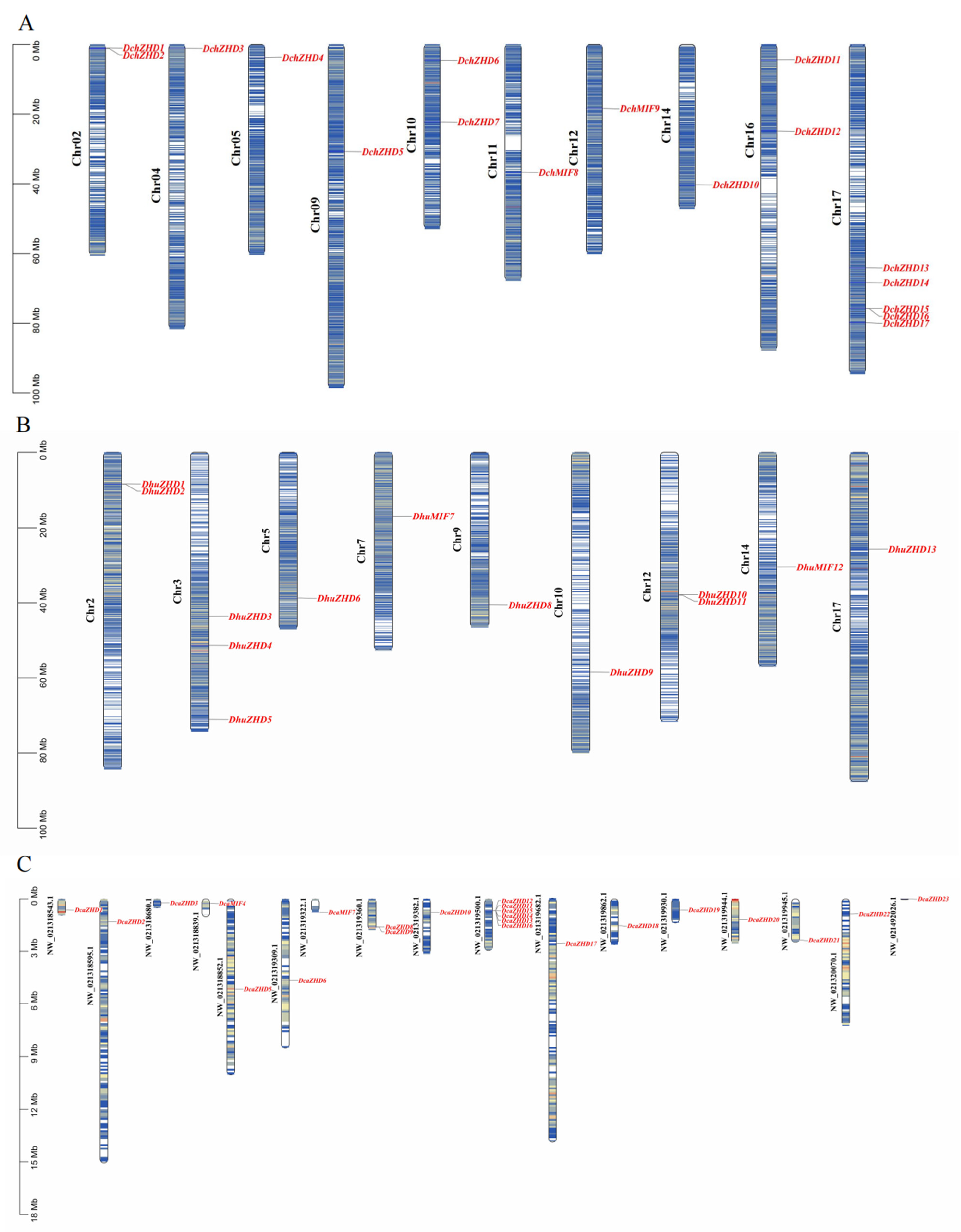 Horticulturae 10 00610 g003