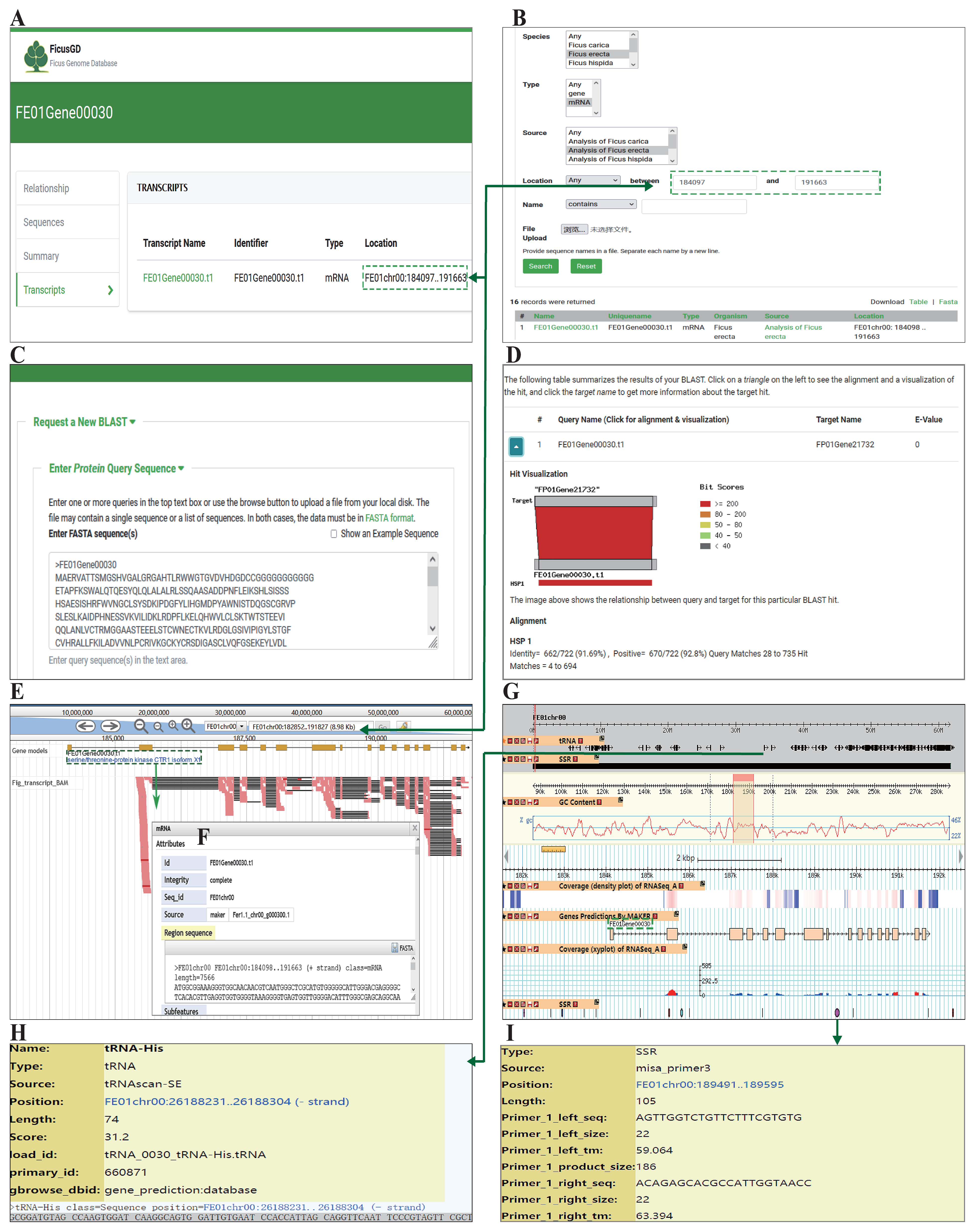 Horticulturae 10 00613 g002