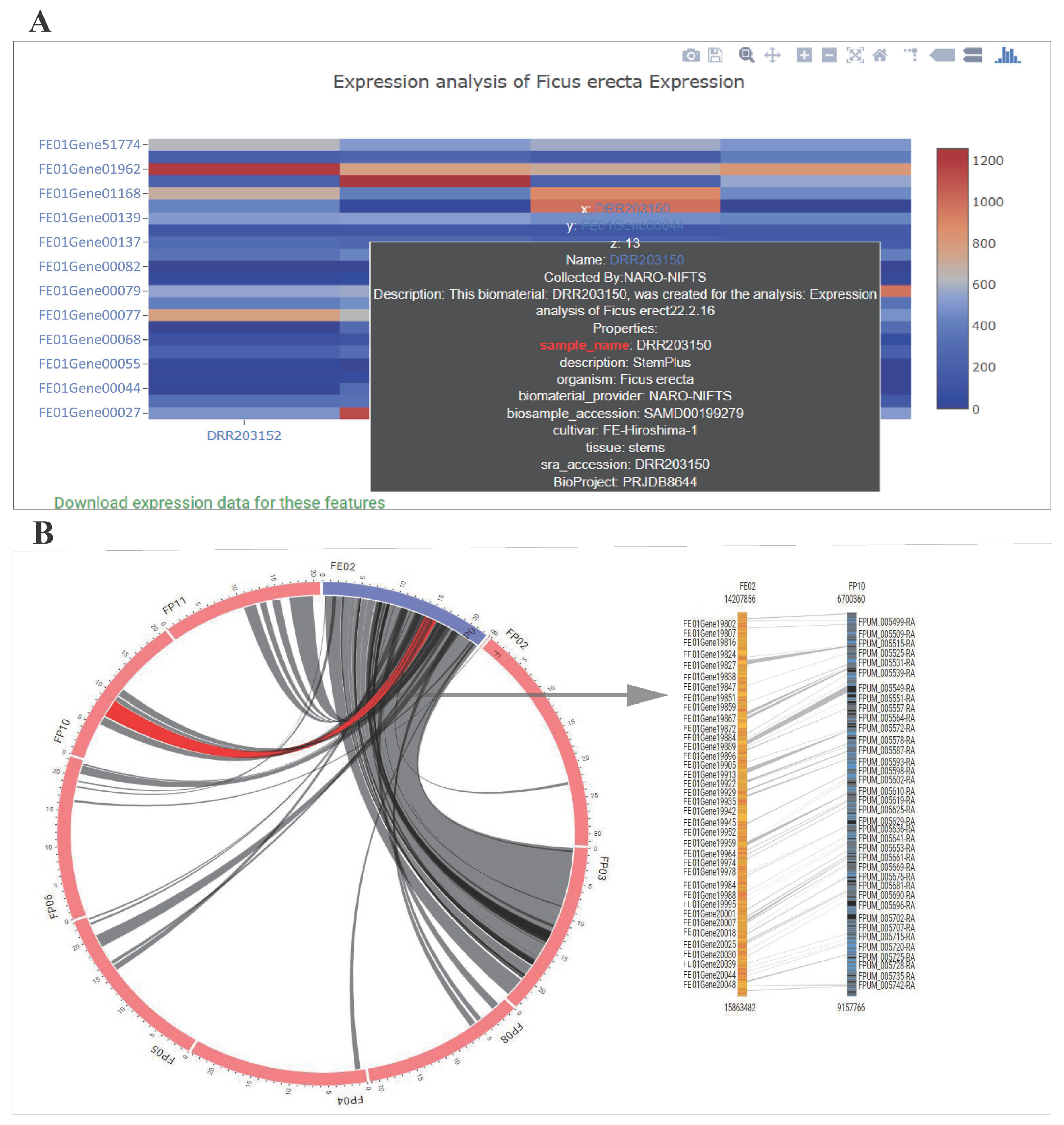 Horticulturae 10 00613 g003