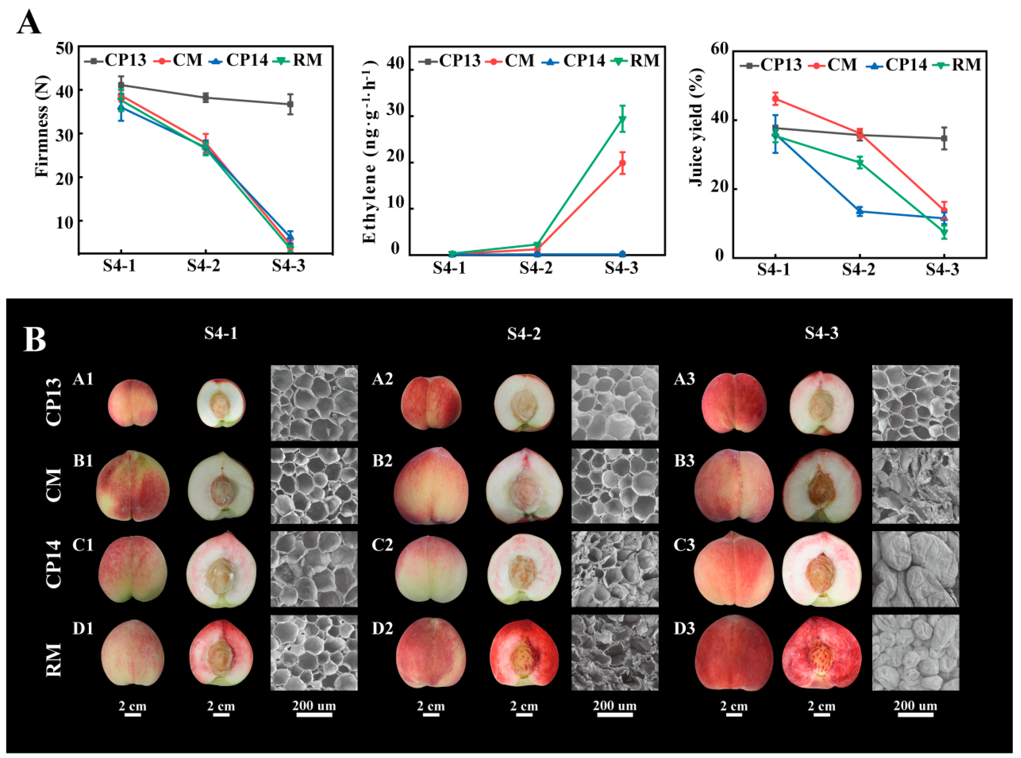 Horticulturae 10 00615 g001