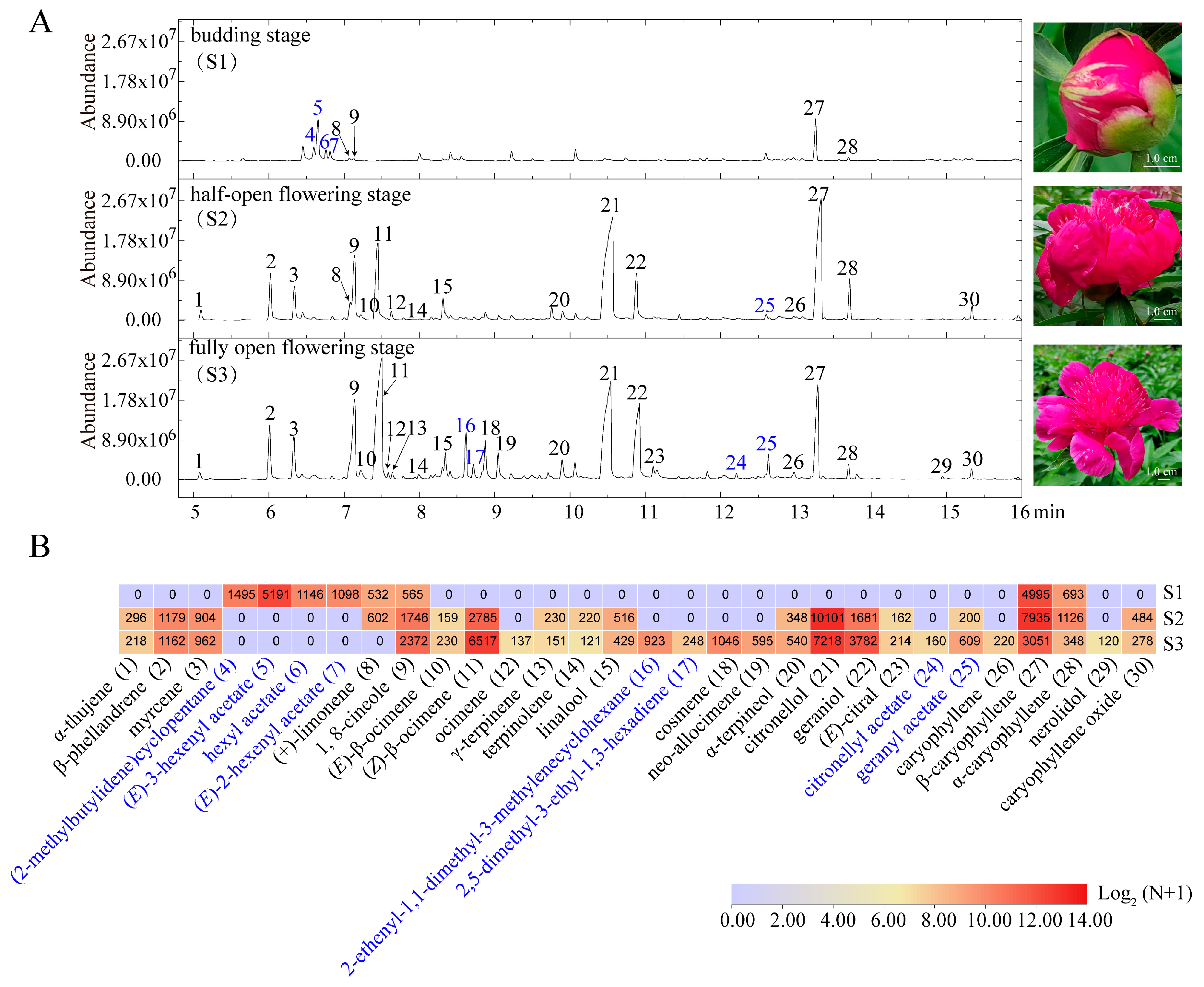 Horticulturae 10 00617 g003