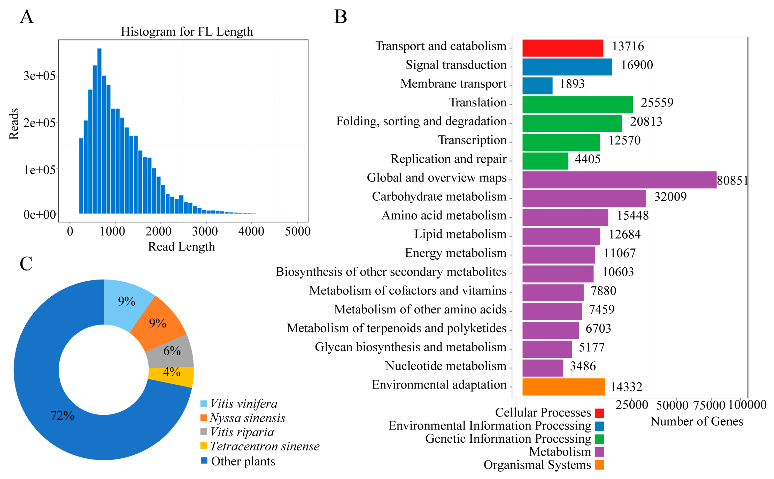 Horticulturae 10 00617 g004