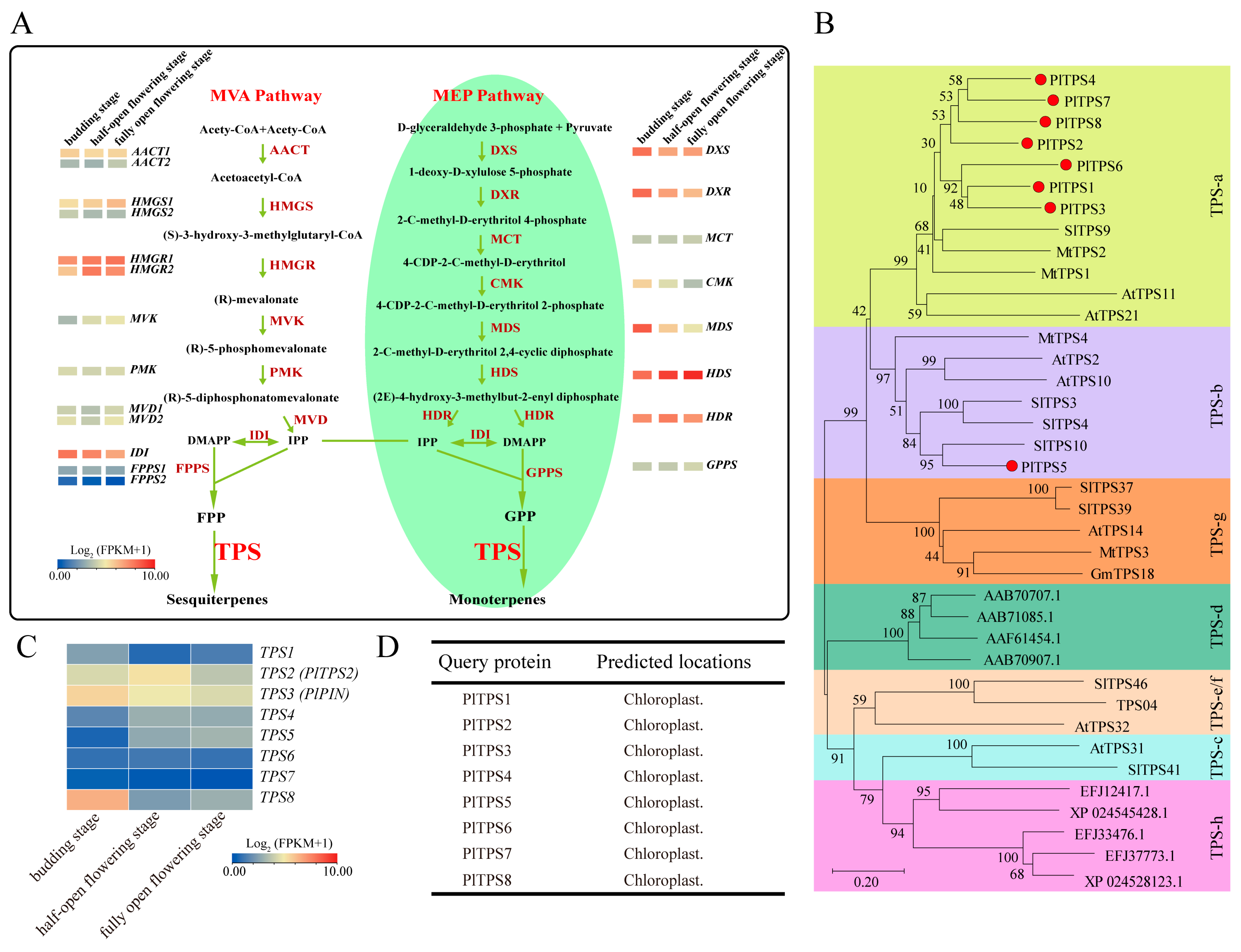 Horticulturae 10 00617 g005