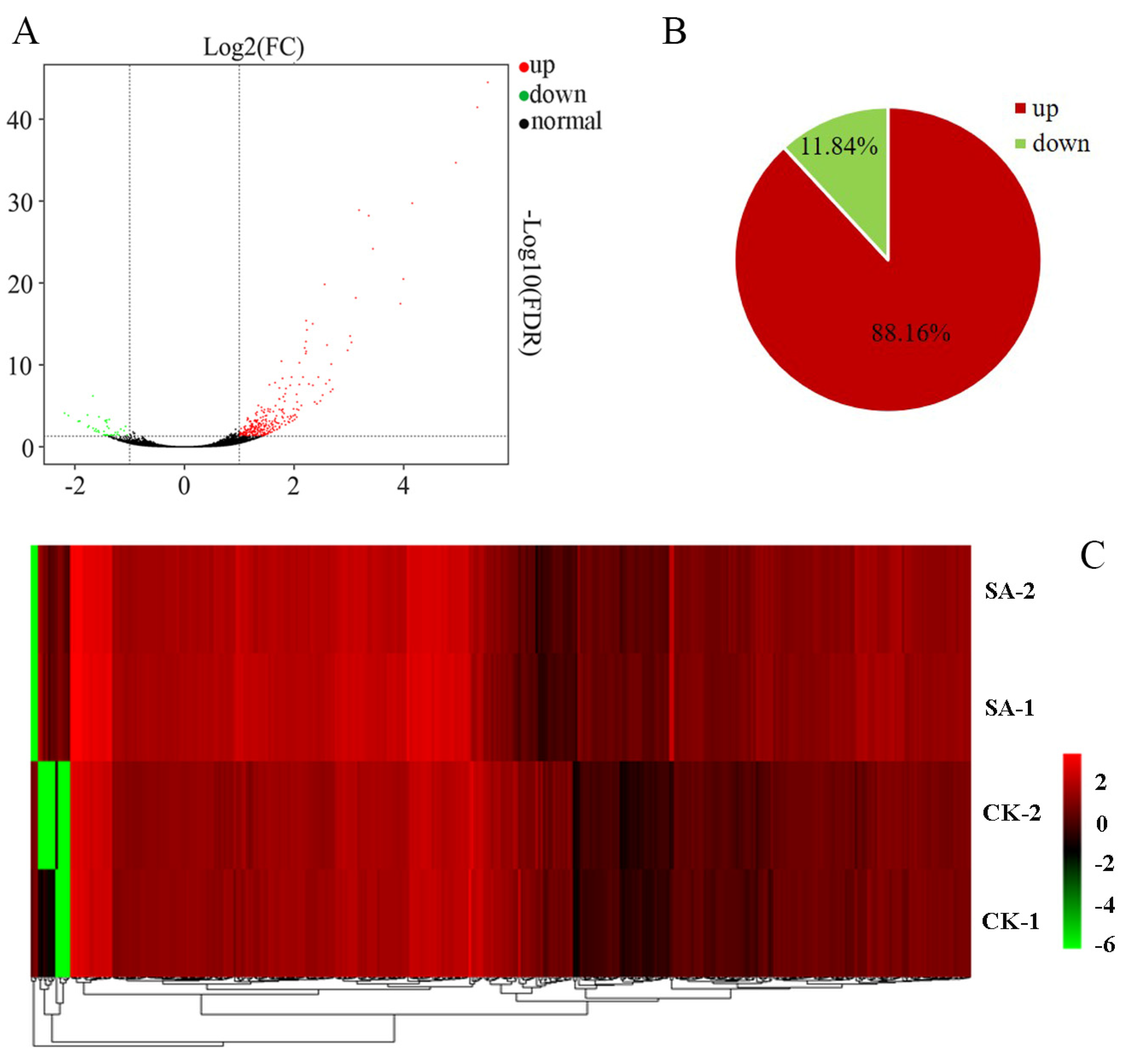 Horticulturae 10 00622 g004