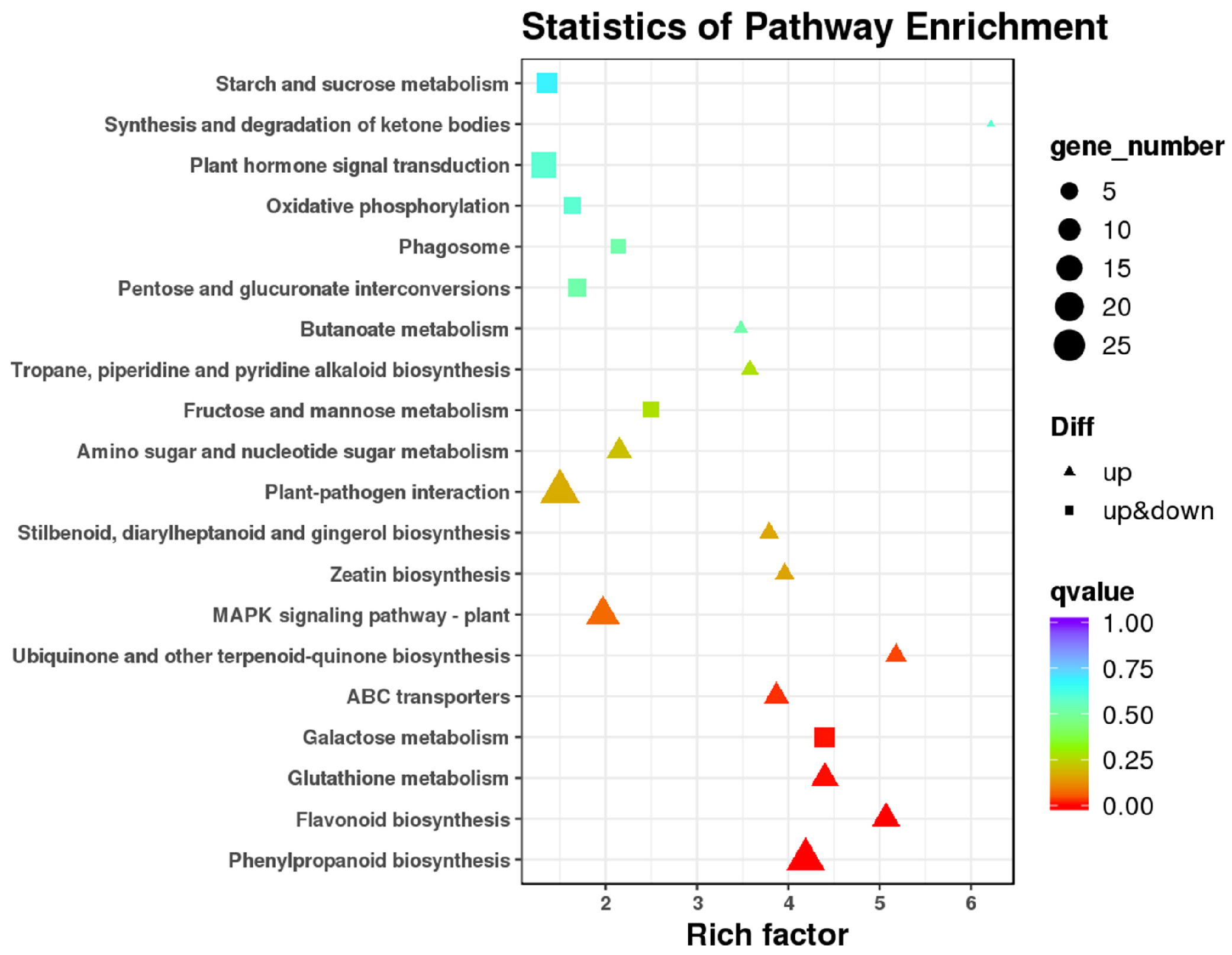 Horticulturae 10 00622 g005